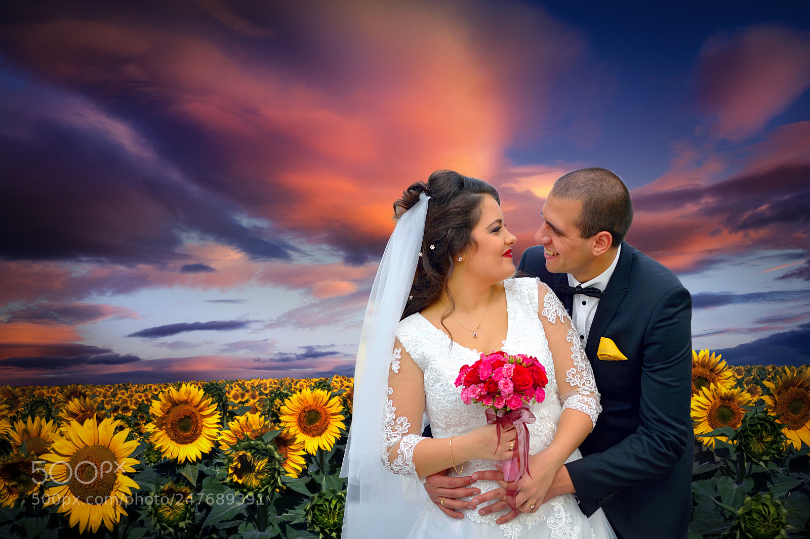 Nikon D7100 sample photo. Sunflowers photography
