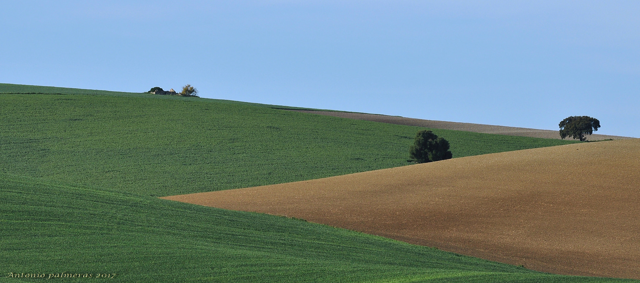Nikon D90 sample photo. Formas photography