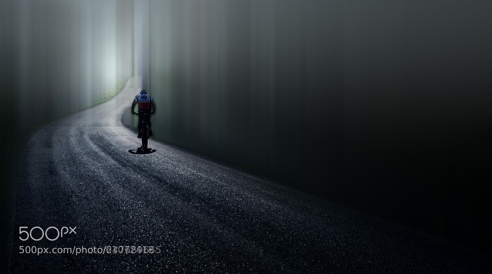 Nikon D90 sample photo. Stock photo photography