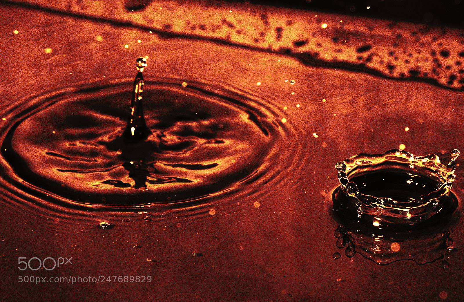 Nikon D7500 sample photo. Tea drops photography