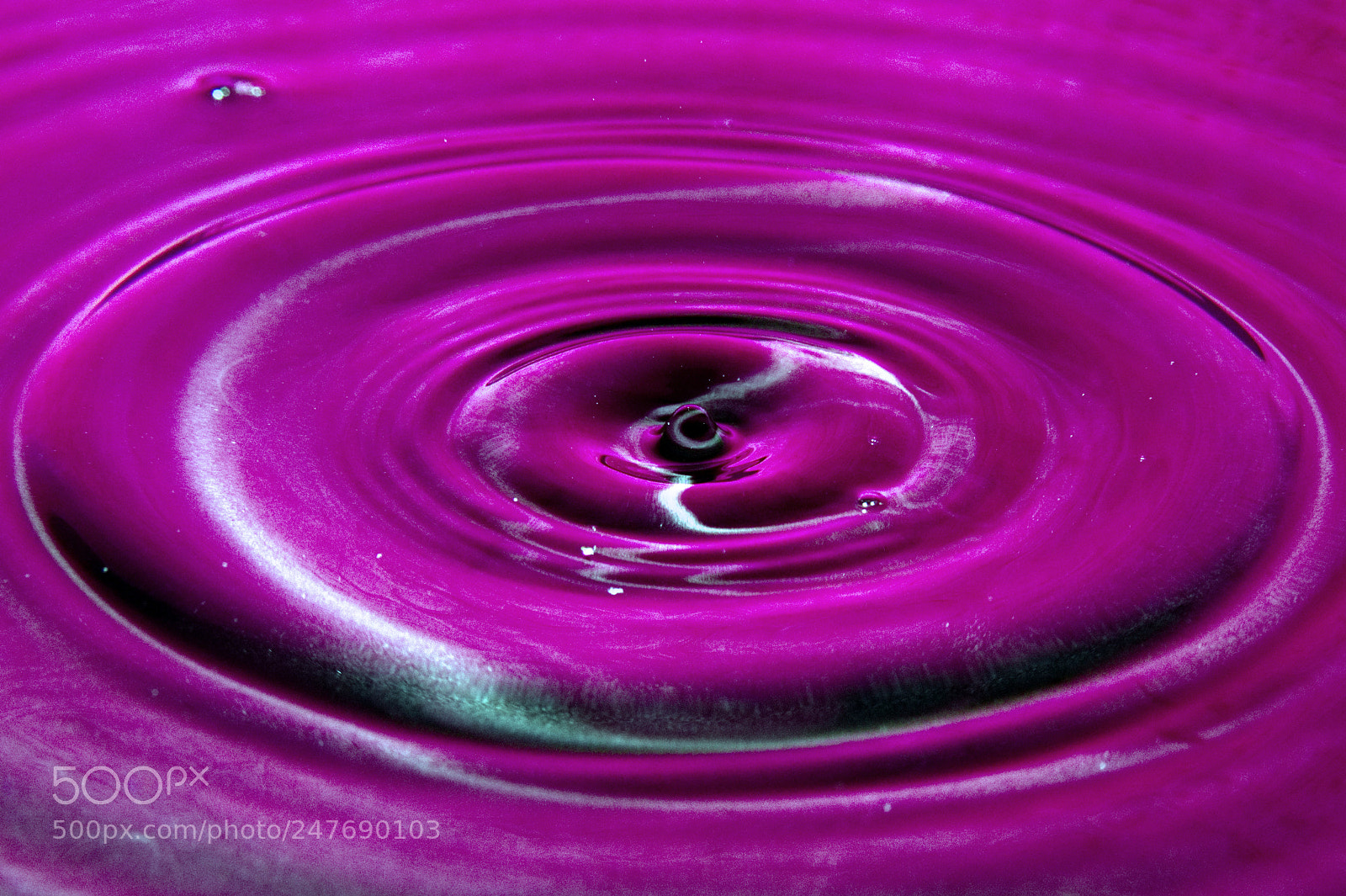 Nikon D7500 sample photo. Pink drops photography