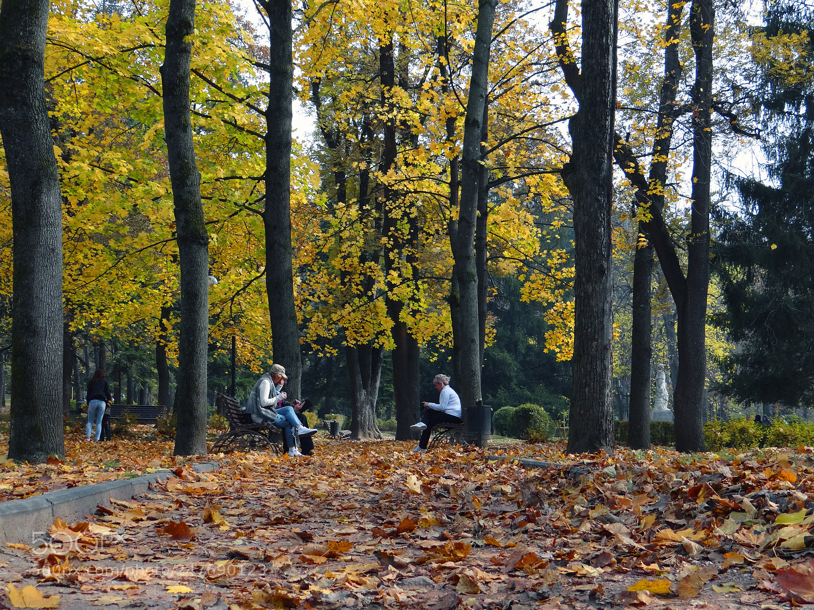 Sony Cyber-shot DSC-HX100V sample photo. Kavkaz photography