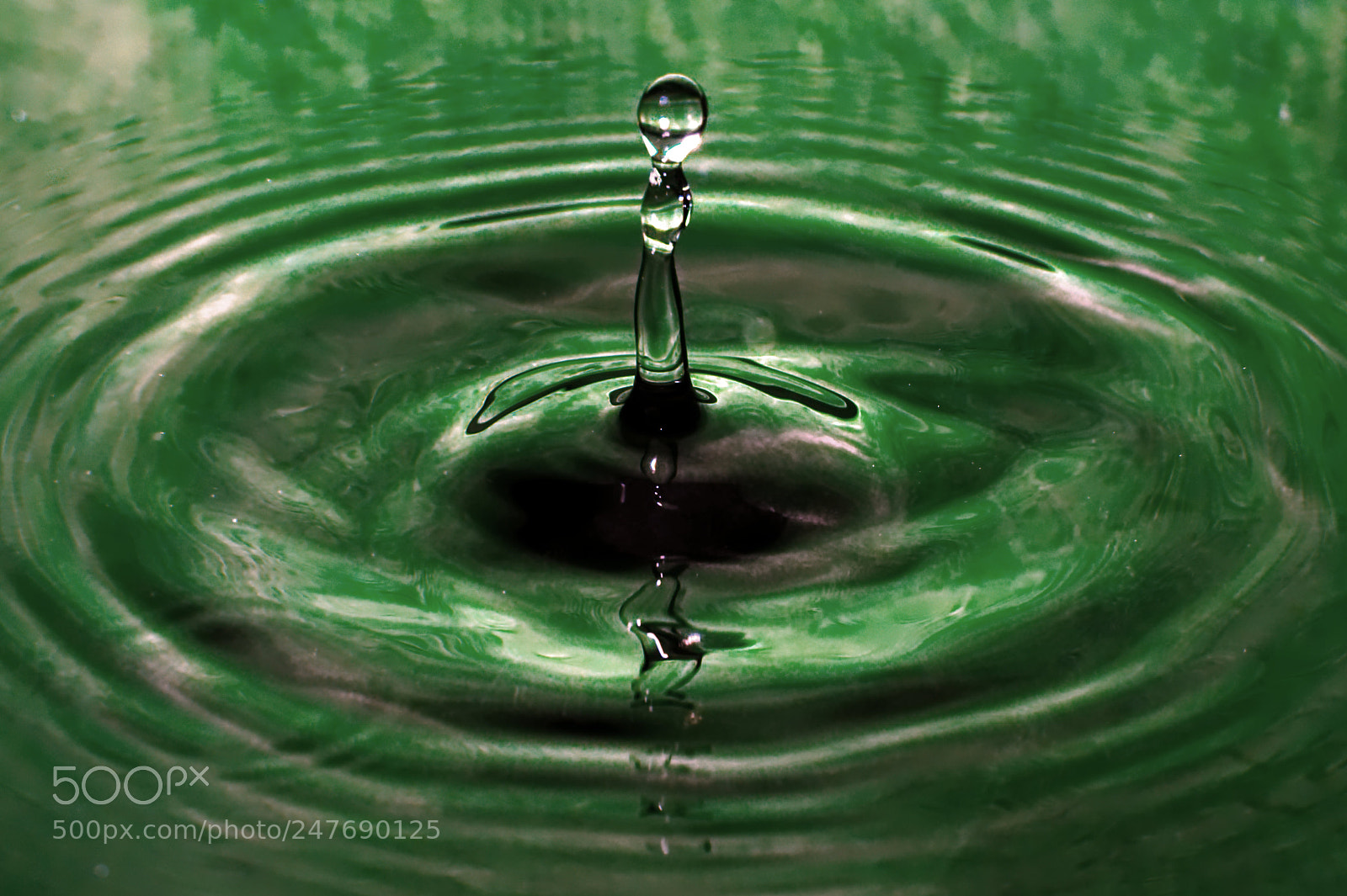 Nikon D7500 sample photo. Green drops photography