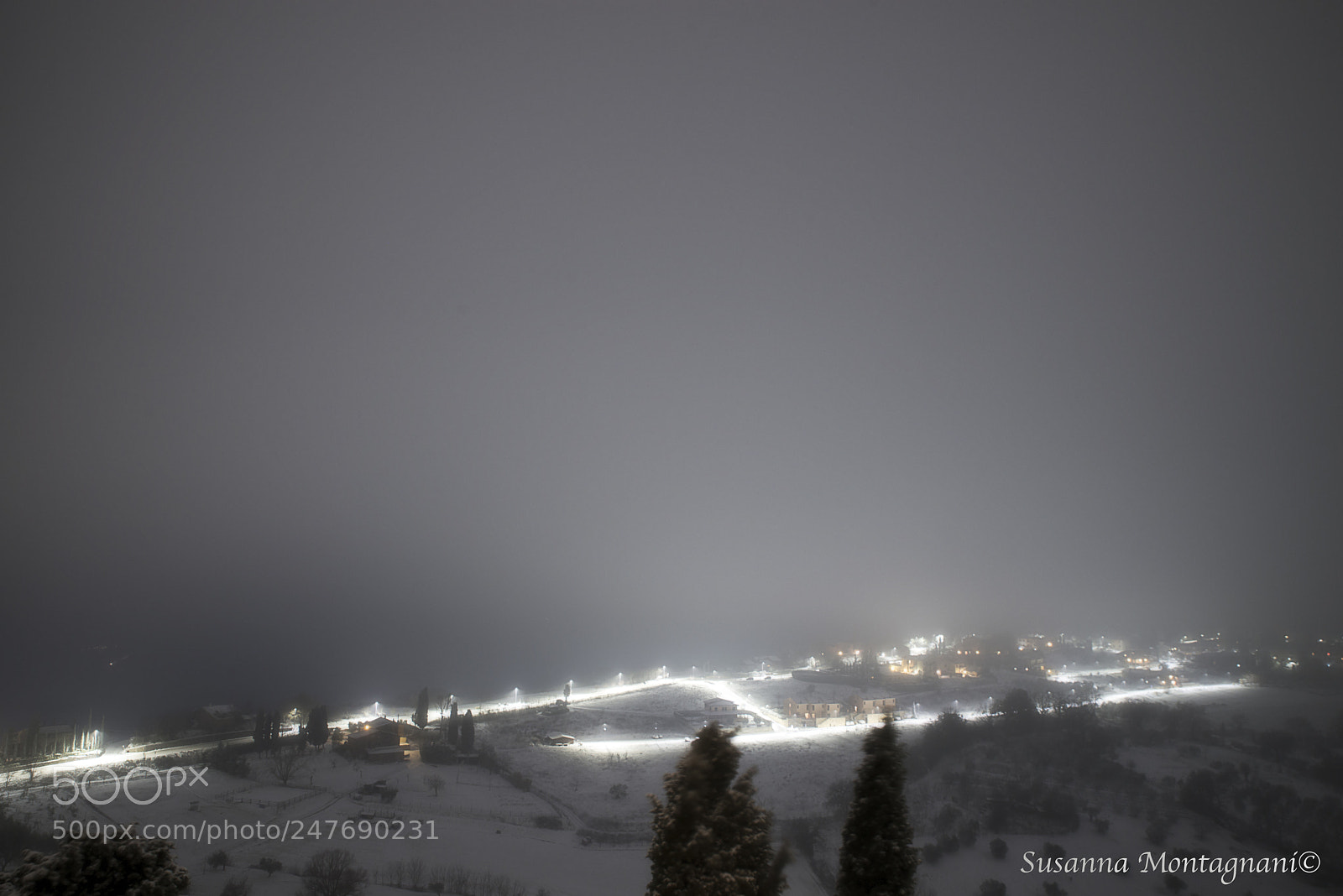 Nikon D800 sample photo. Blizzard photography