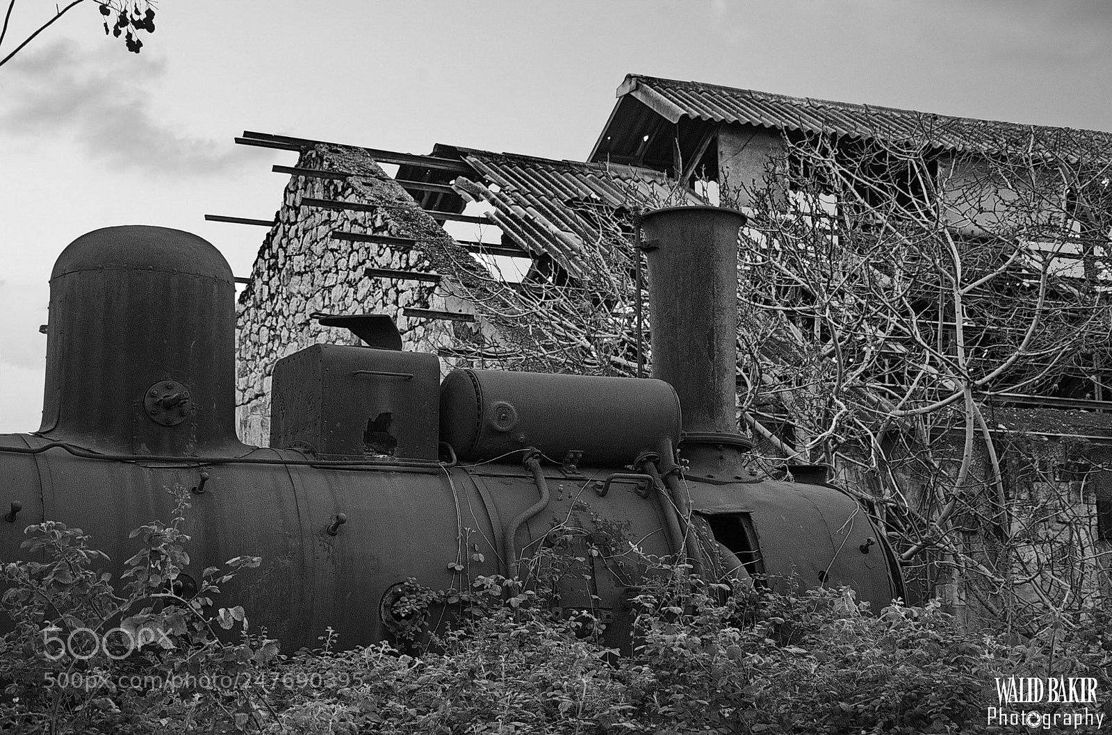 Nikon D7200 sample photo. The train station photography