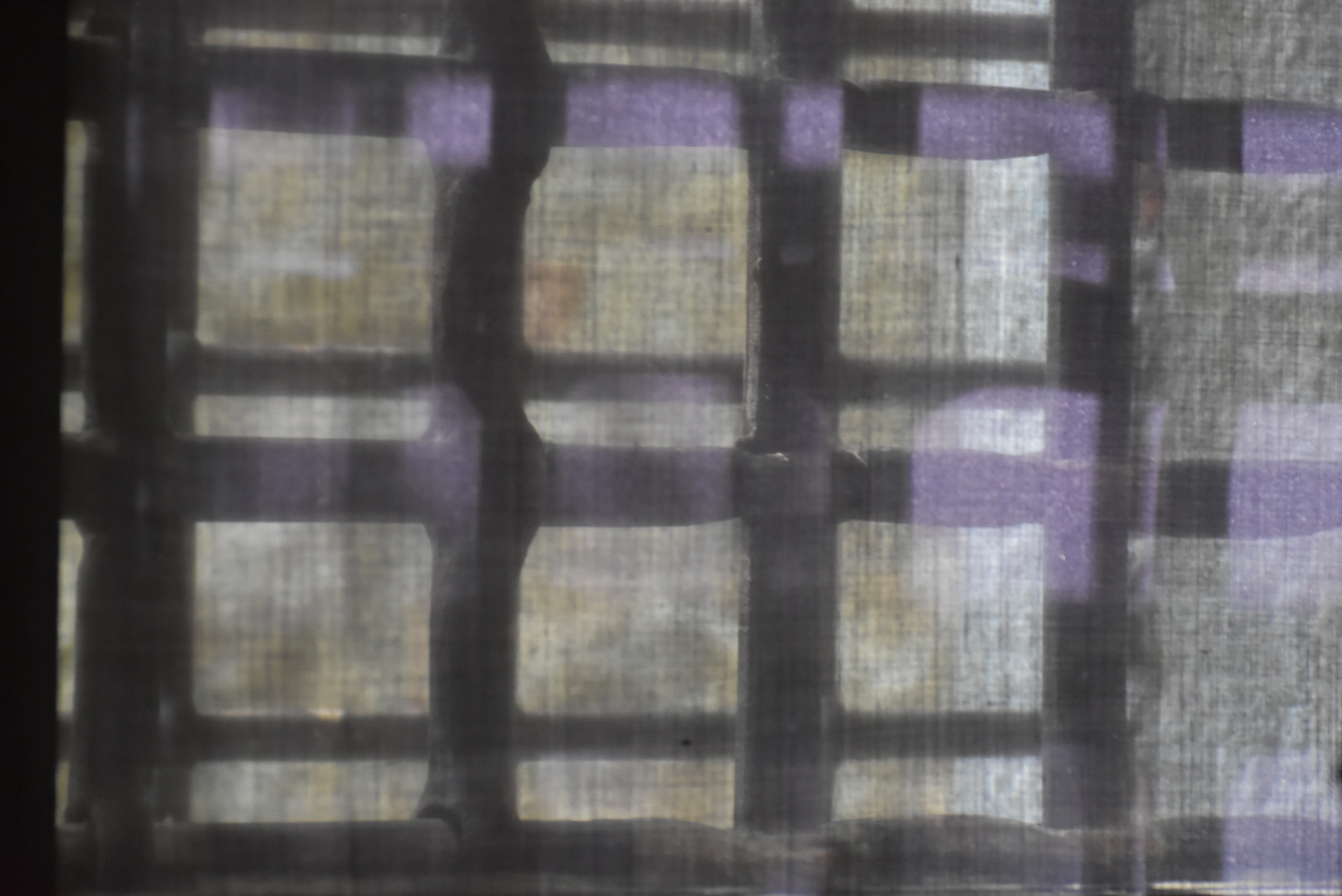 Nikon D7200 sample photo. Gratings -2-: a trap for incomings photography