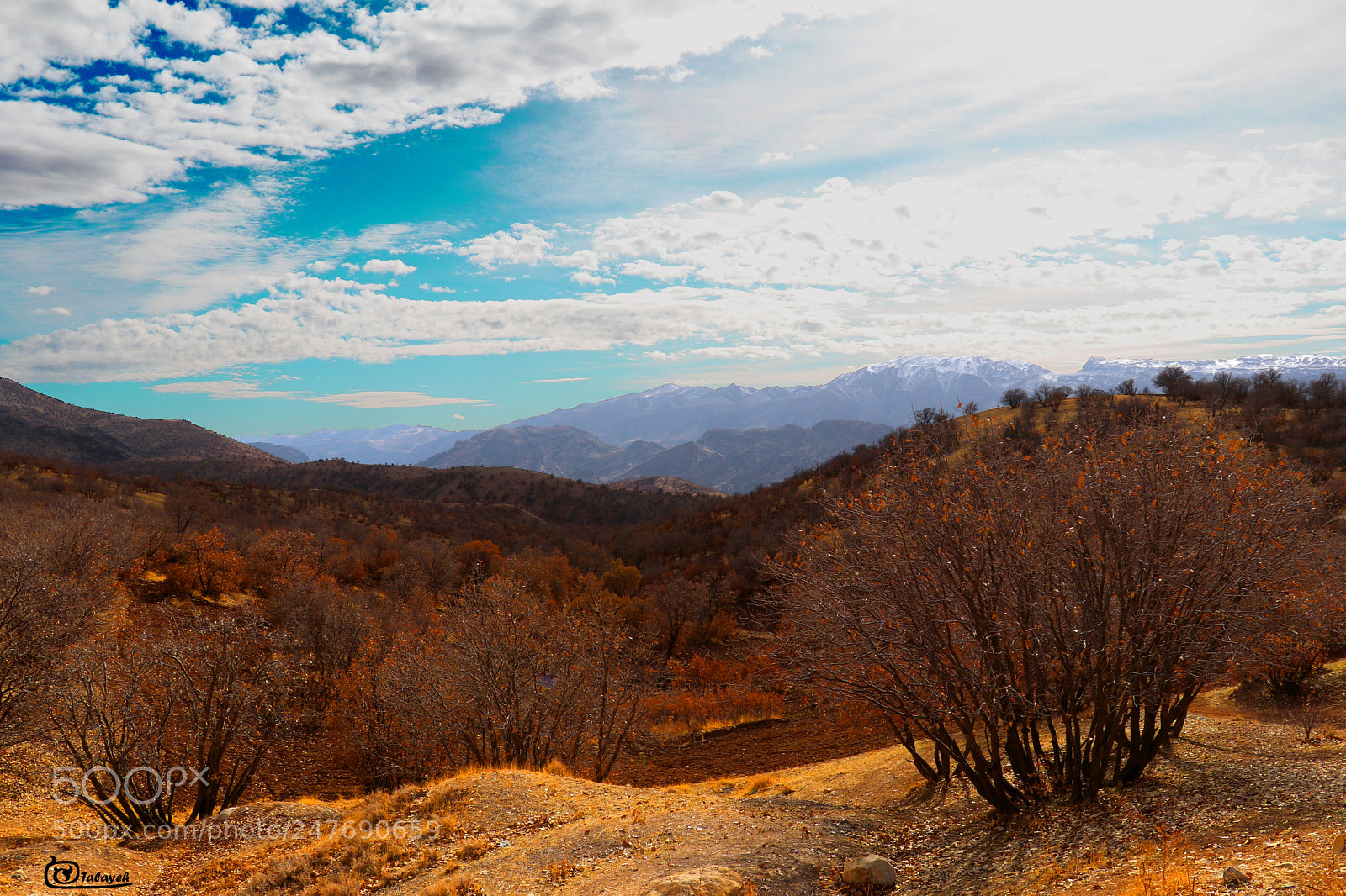 Canon EOS 80D sample photo. Nature photography