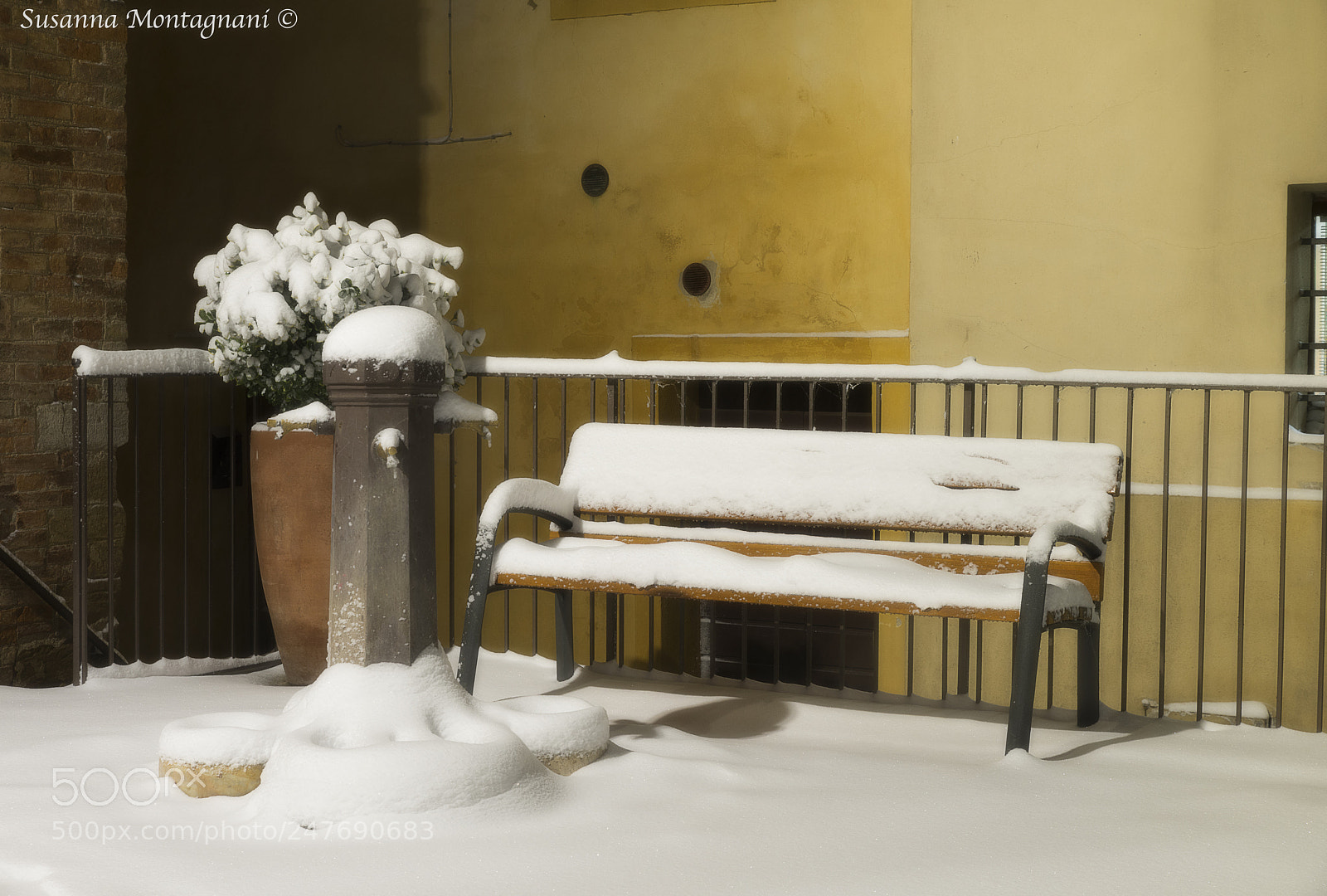 Nikon D800 sample photo. Sitting photography
