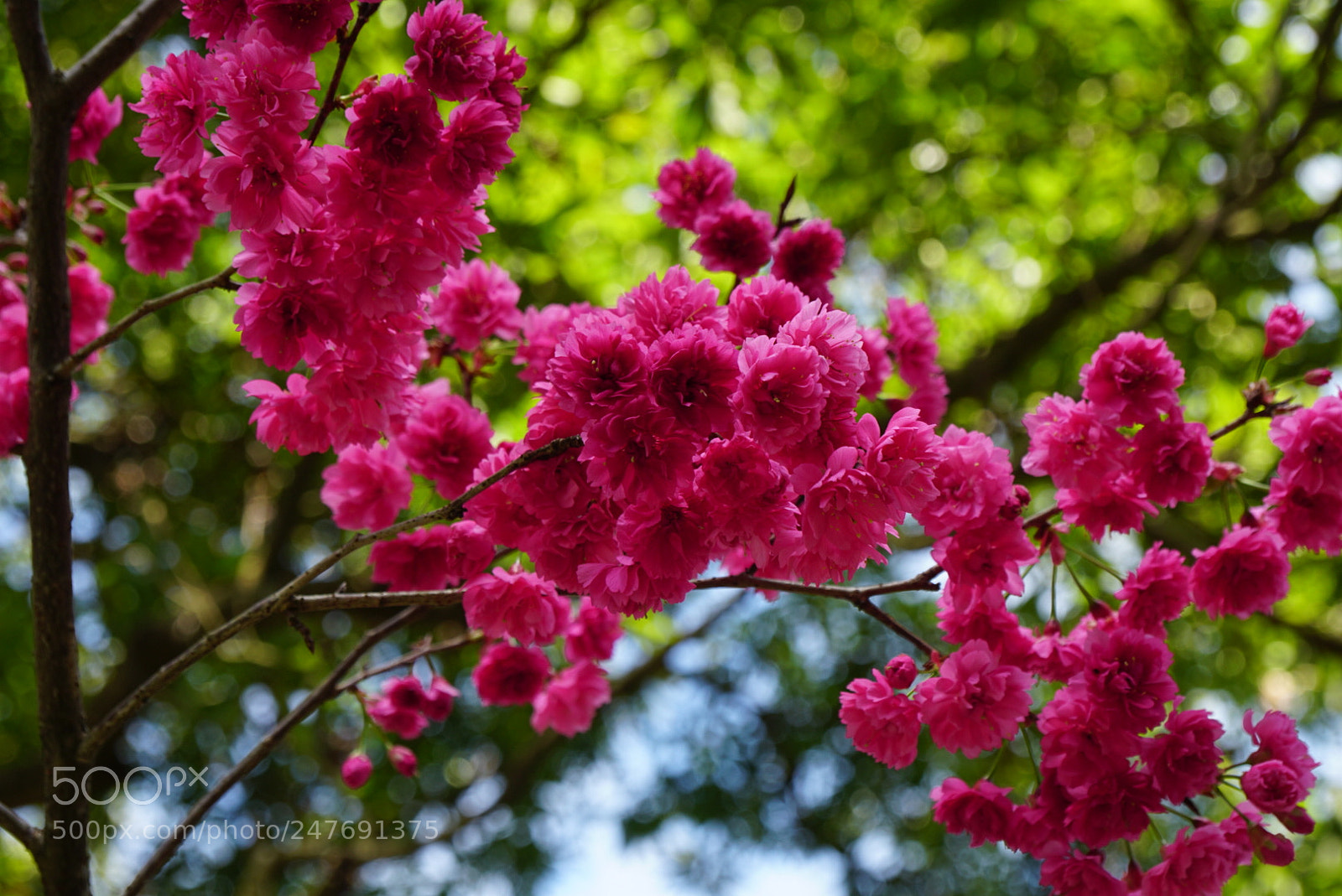 Sony a6300 sample photo. Untitled photography