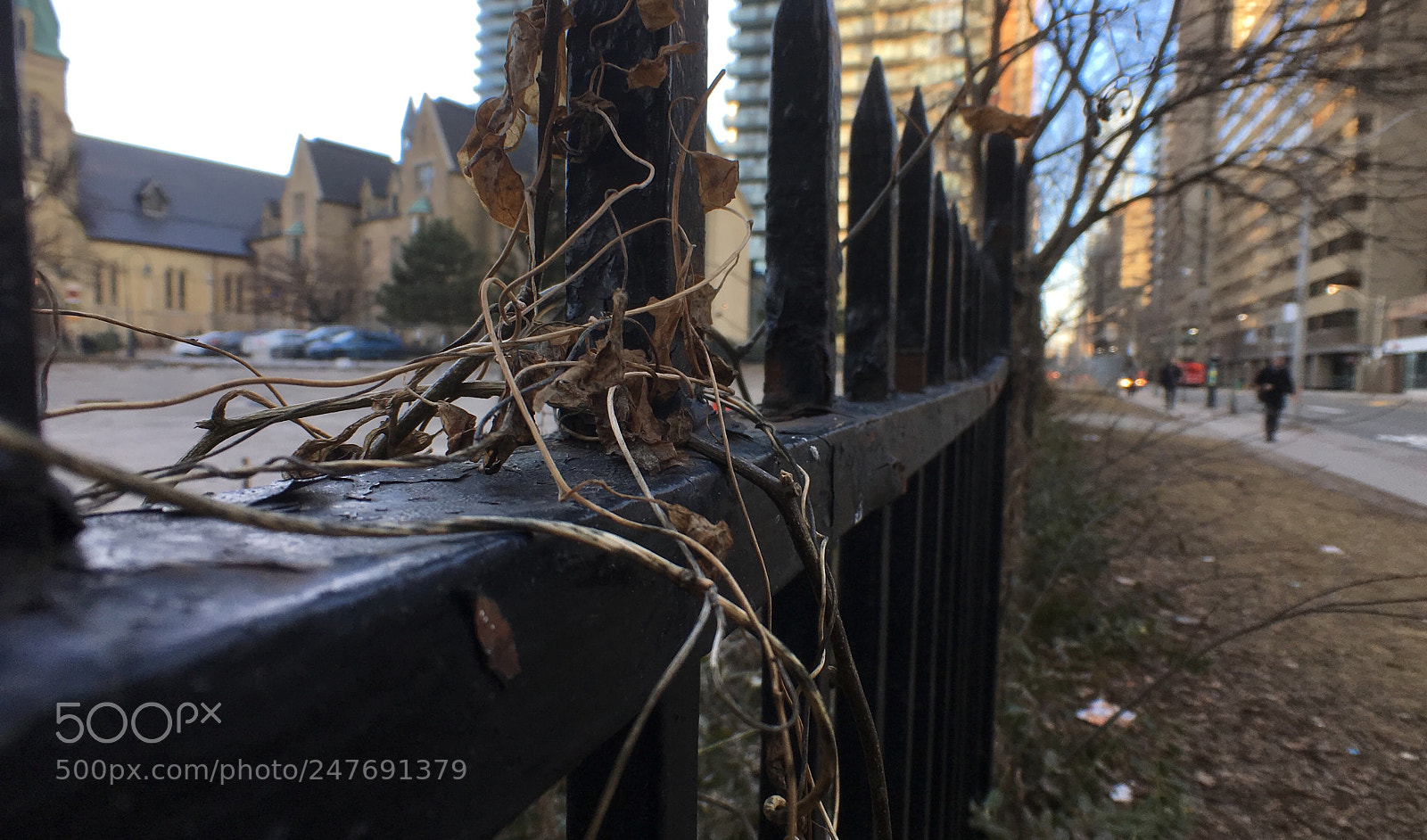 Apple iPhone 6s sample photo. Untitled photography