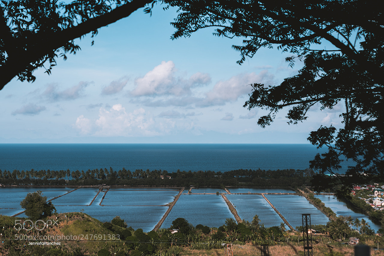 Nikon D5200 sample photo. Blue photography