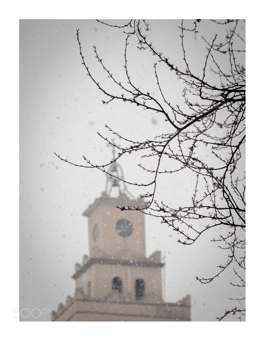 Olympus OM-D E-M1 Mark II sample photo. Winter postcards.. photography