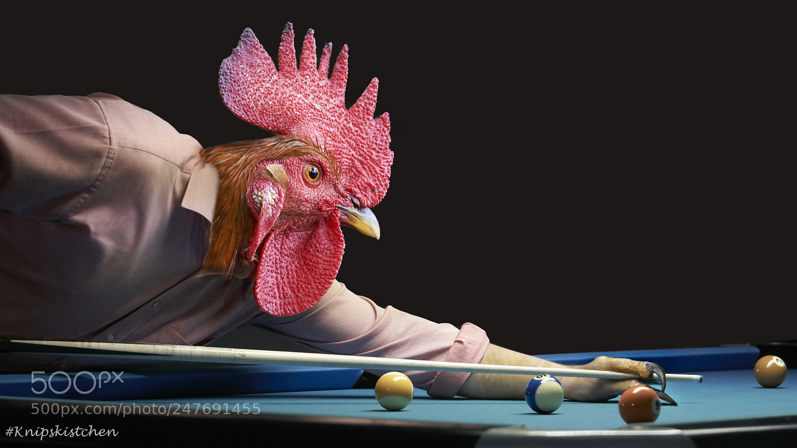 Sony a6300 sample photo. Cocky poolplayer photography