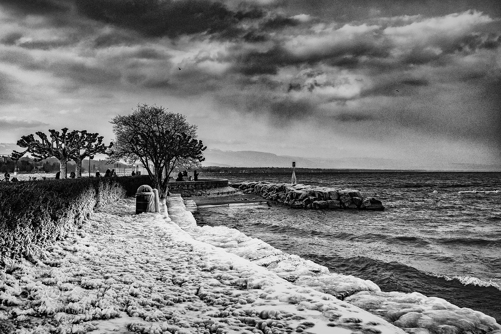 Olympus OM-D E-M1 Mark II sample photo. Baby plage on the photography
