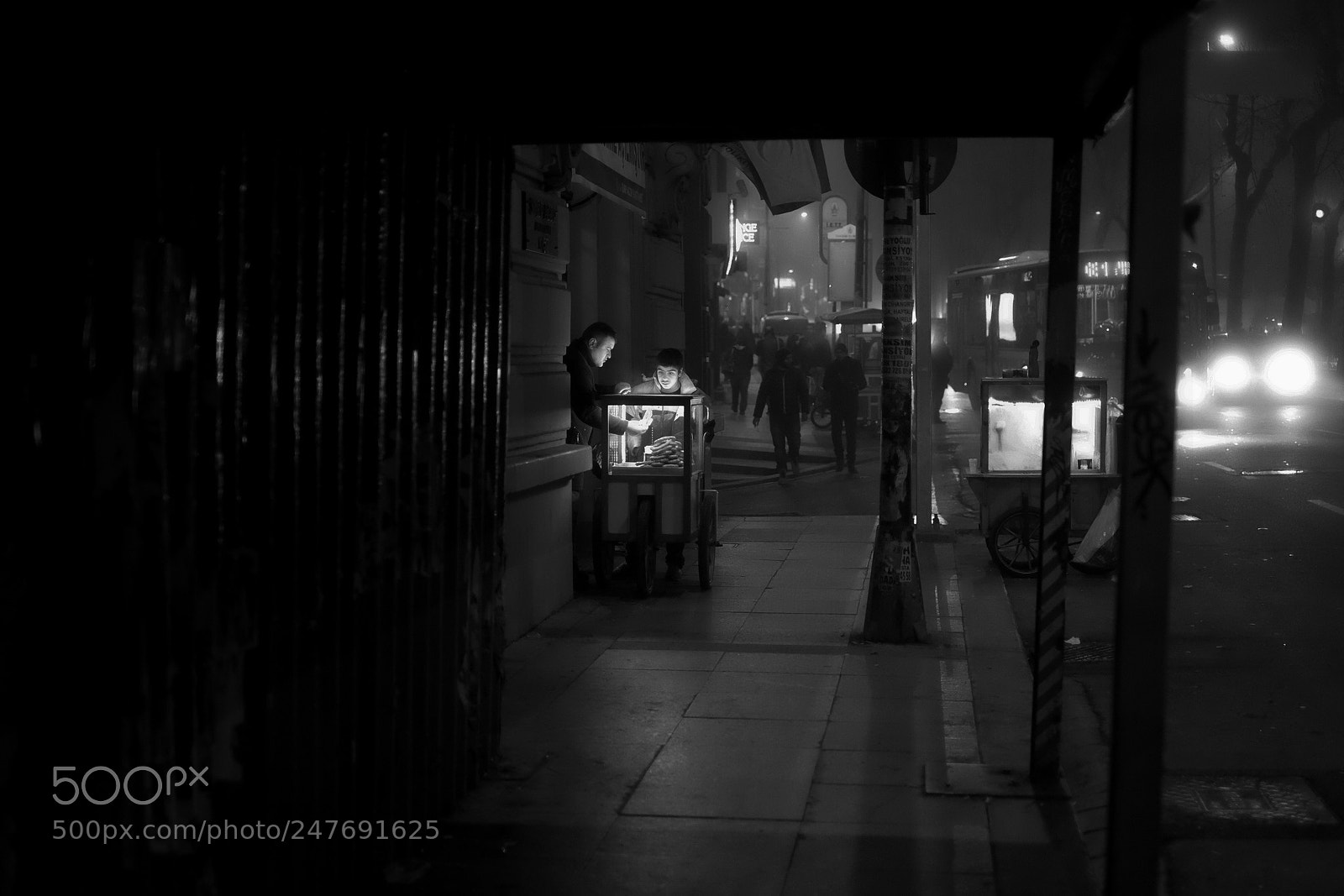 Fujifilm X-E2 sample photo. - nocturnal... photography