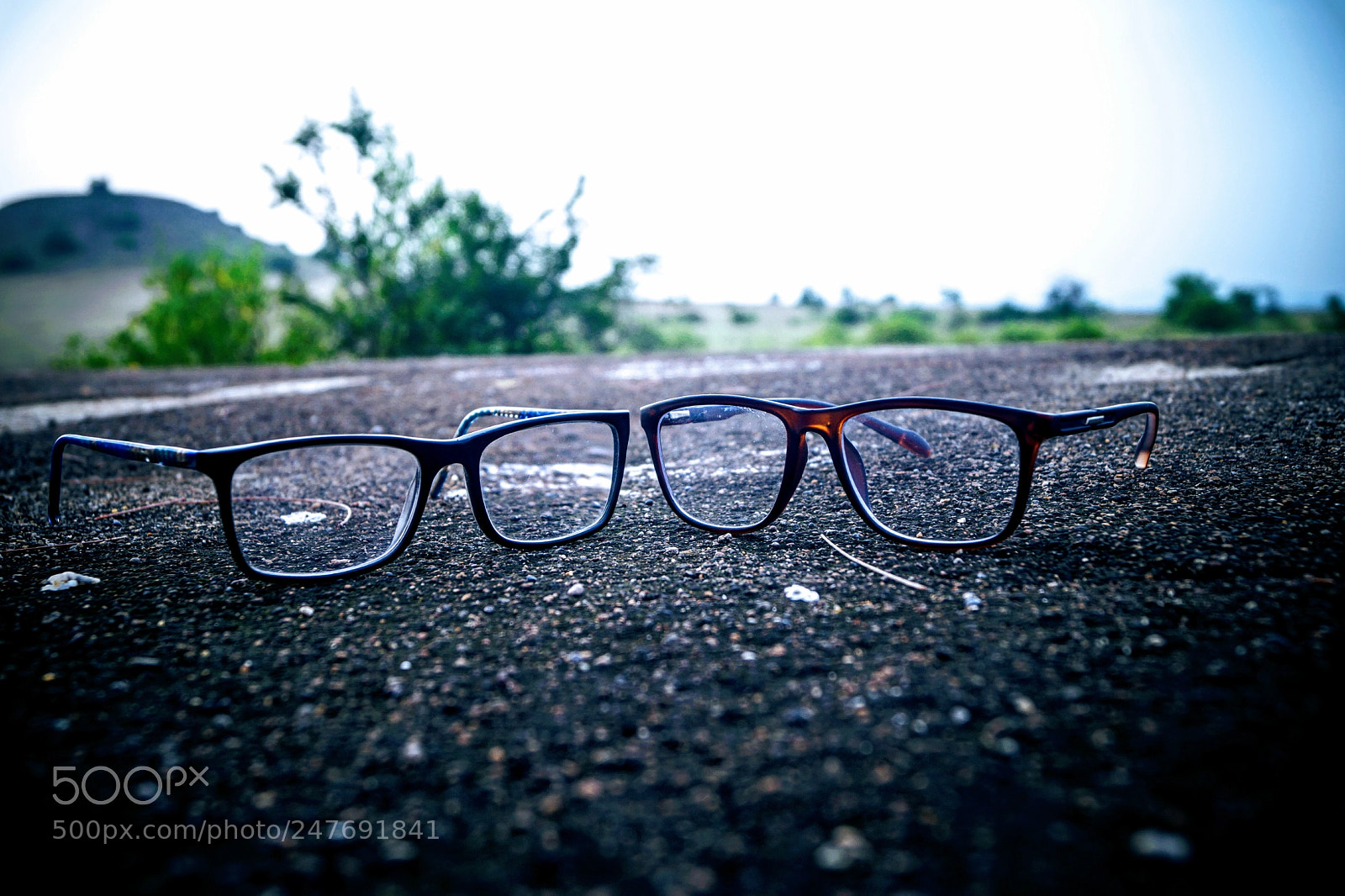 Sony SLT-A58 sample photo. Untitled photography