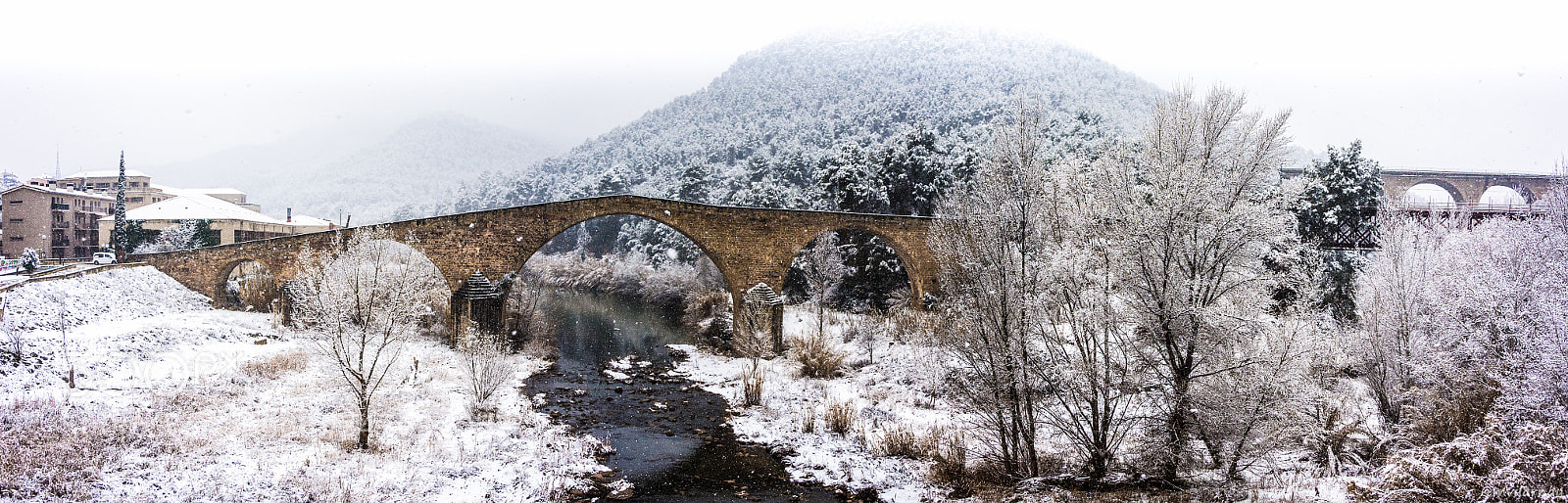 Nikon D7200 sample photo. El pont vell de photography