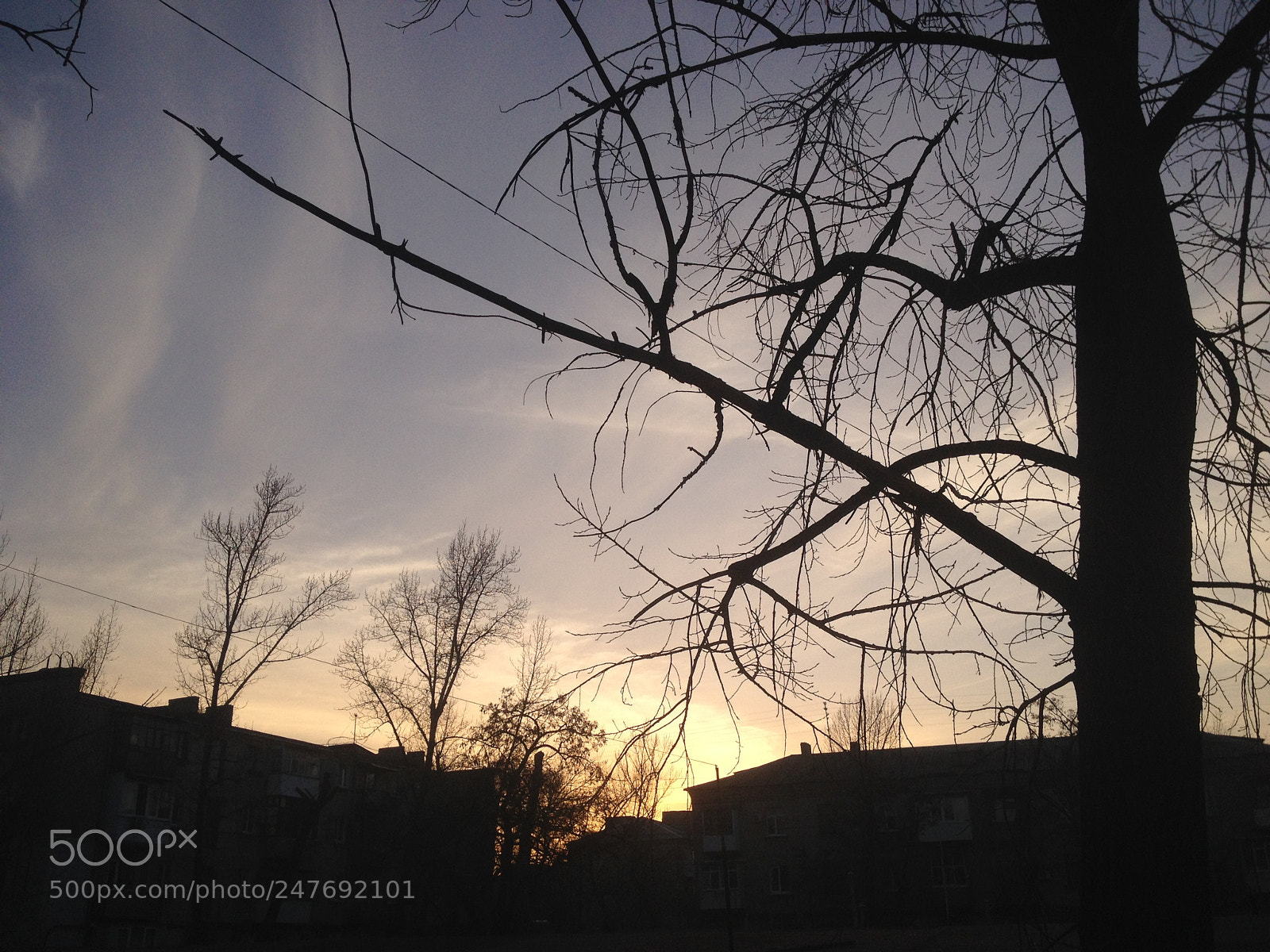 Apple iPhone 4S sample photo. Untitled photography