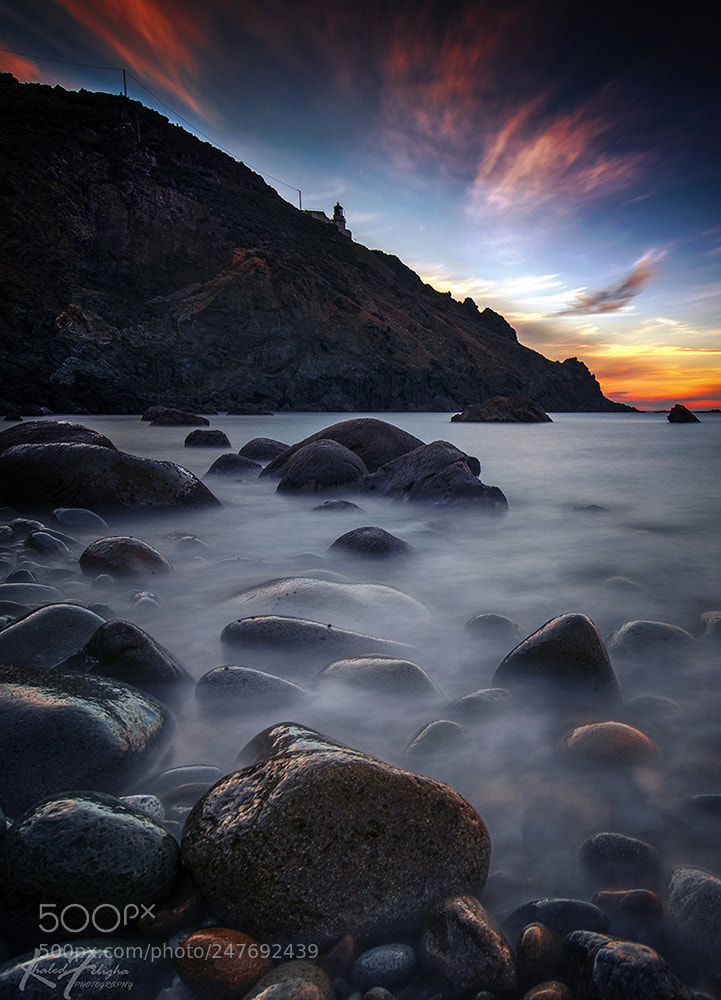 Nikon D610 sample photo. Bogaroone algeria photography