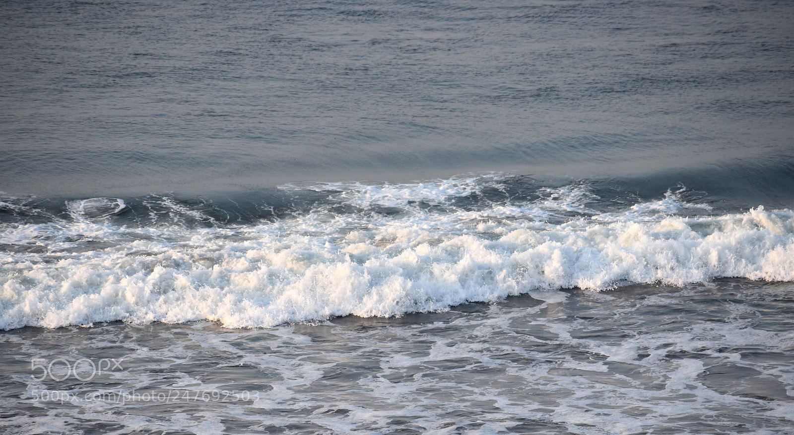 Nikon D5600 sample photo. Dsc photography