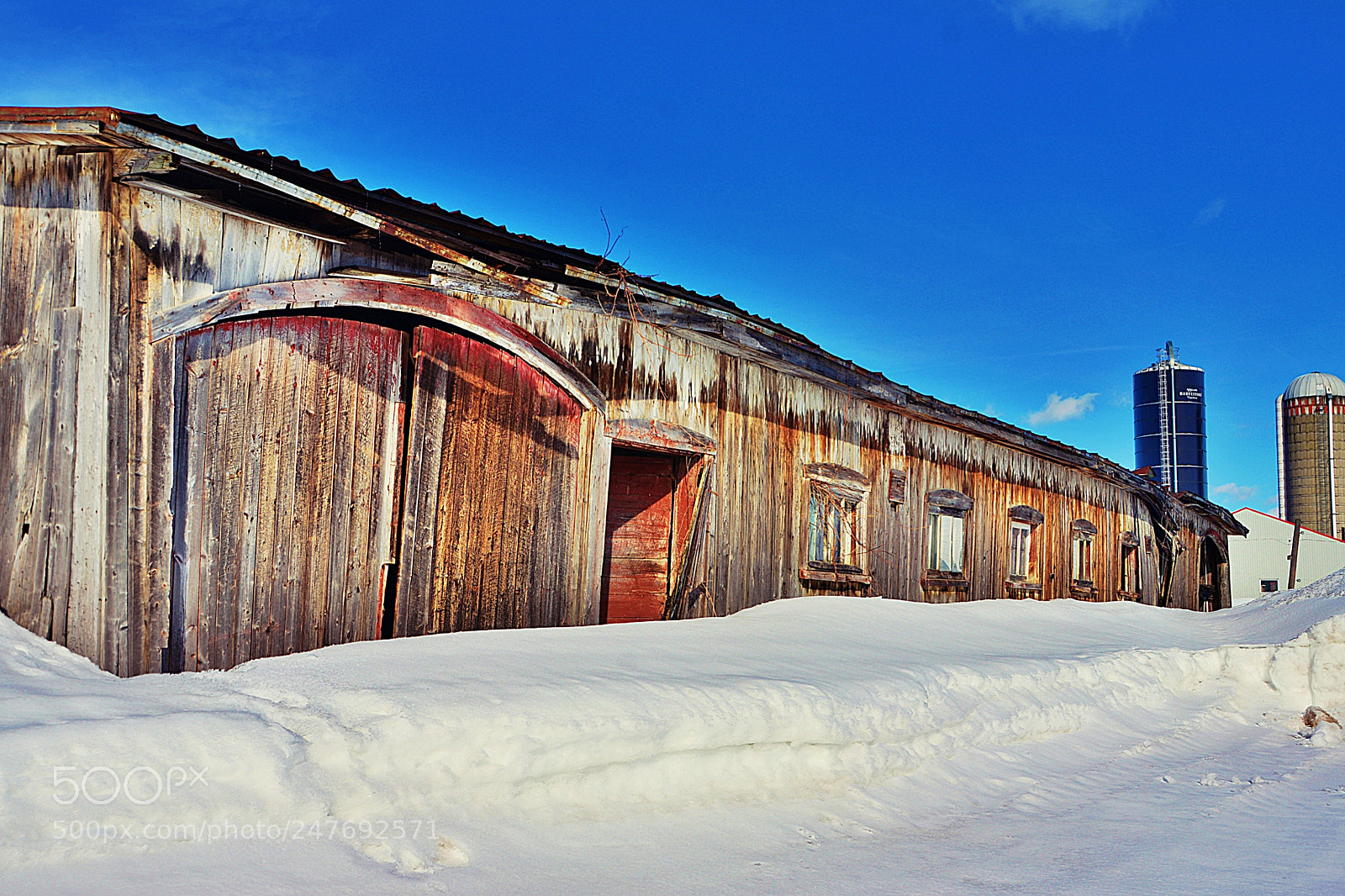Nikon D7100 sample photo. D laiss e, toujours photography