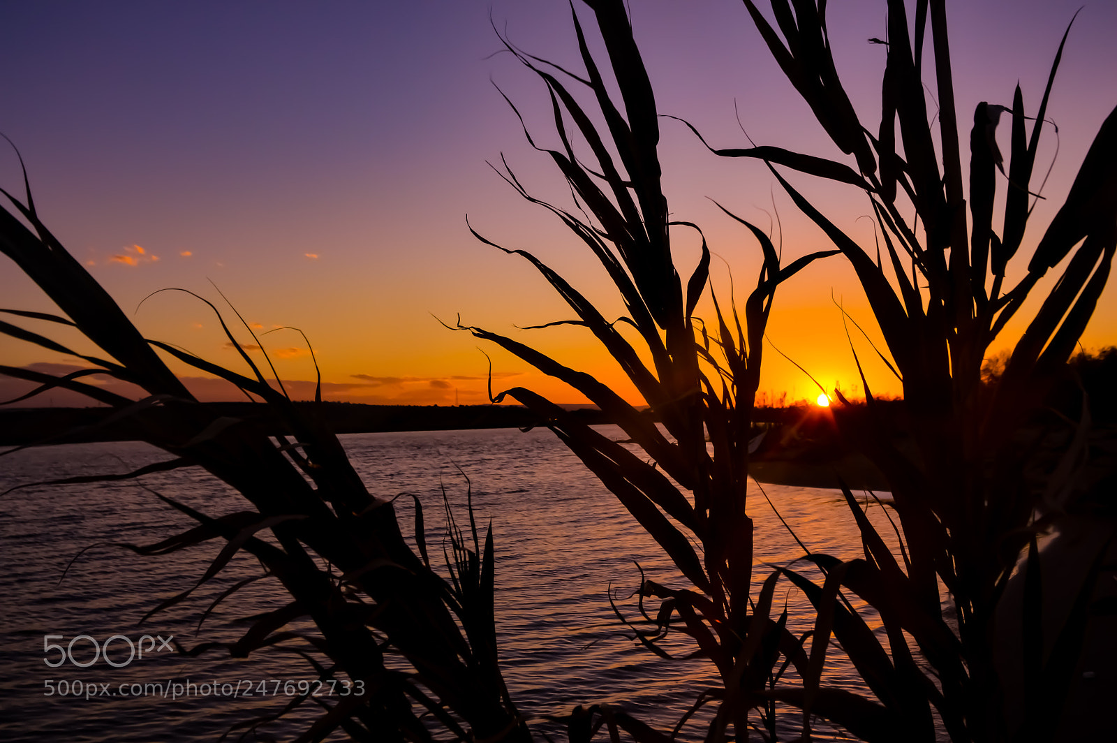 Nikon D3200 sample photo. Oasi del simeto photography