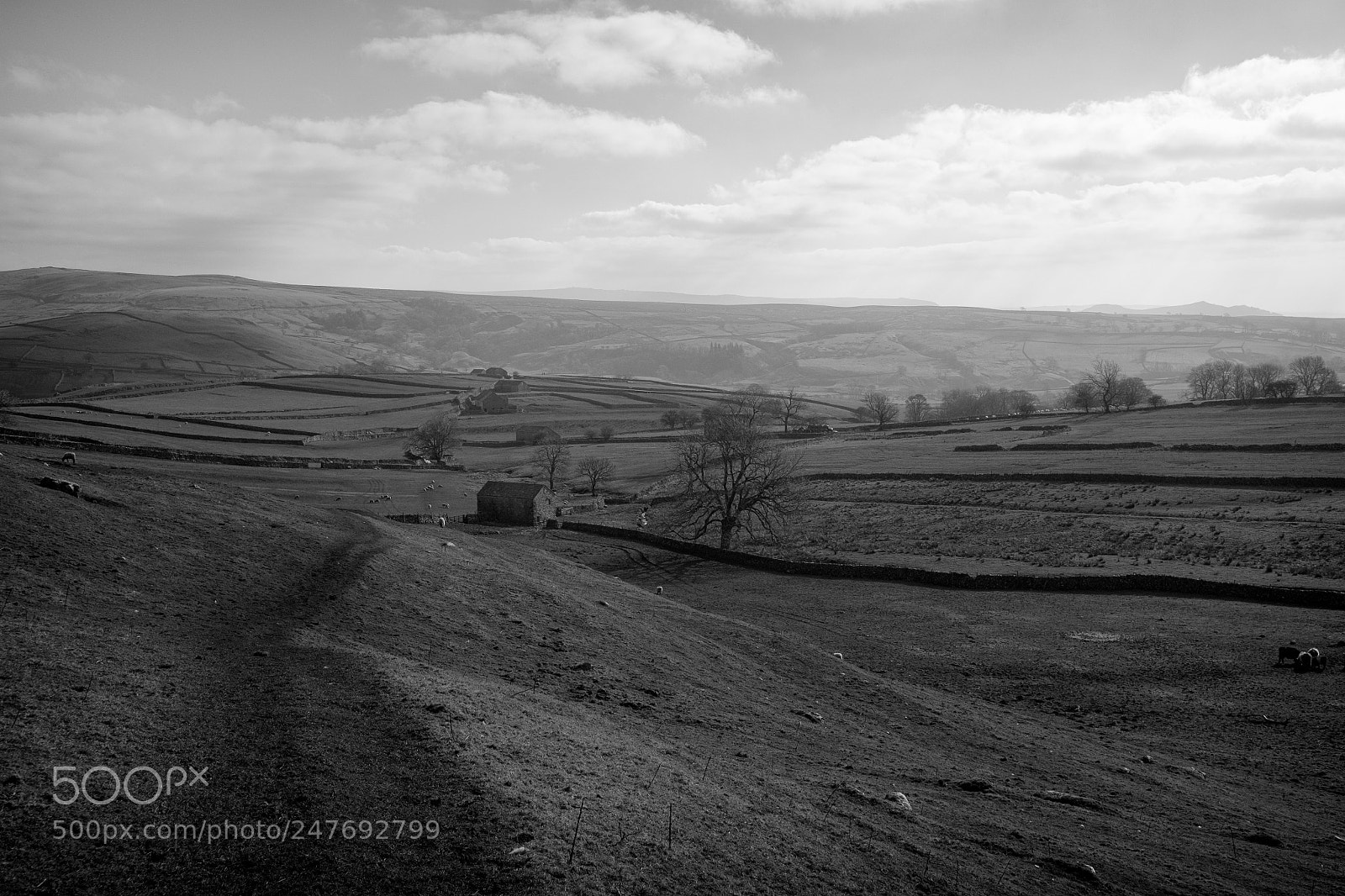 Fujifilm X-T1 sample photo. Malham field barns photography