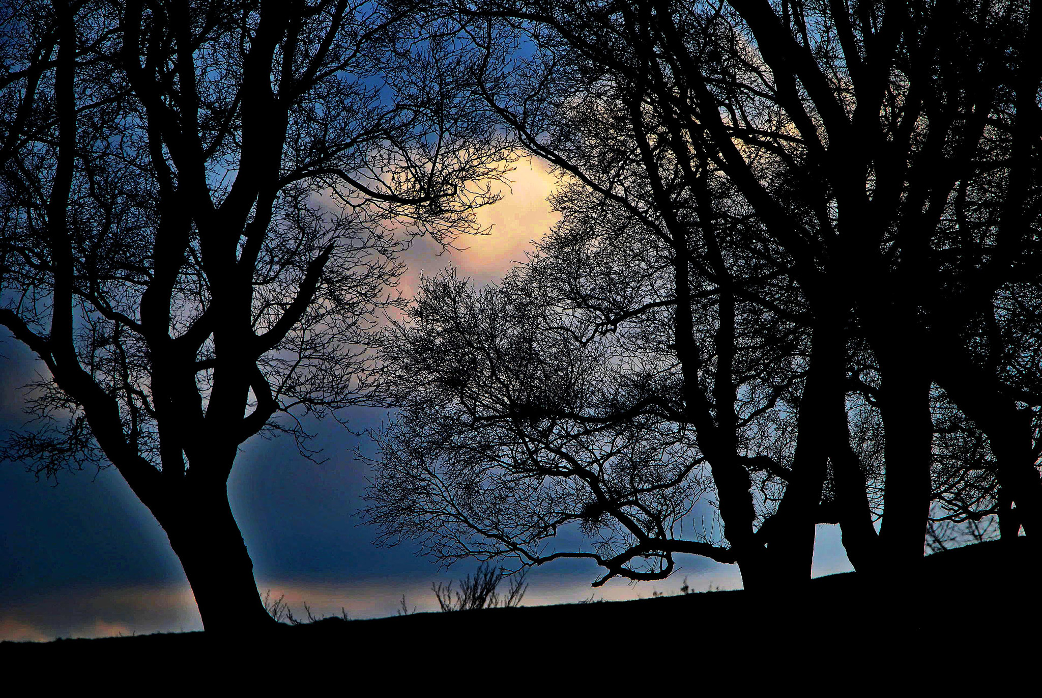 Sigma 150-600mm F5-6.3 DG OS HSM | C sample photo. Evening   enchantment photography