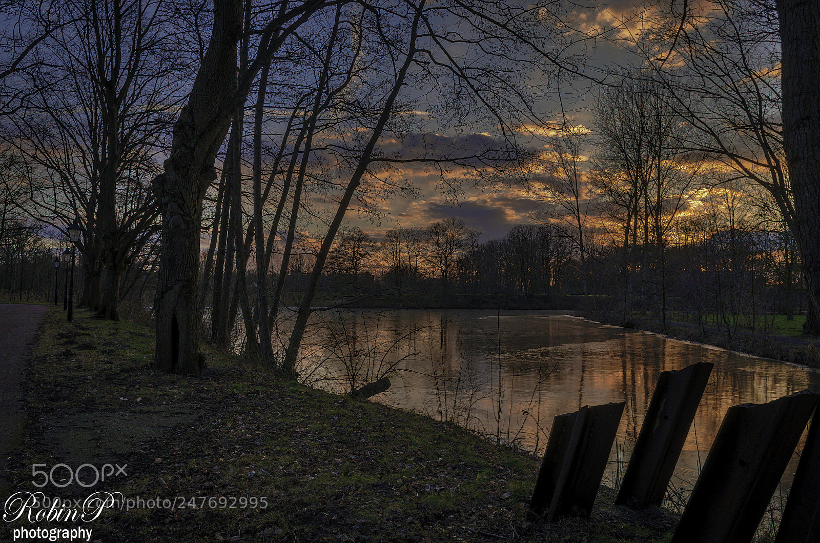 Nikon D5000 sample photo. Dutch park on a photography