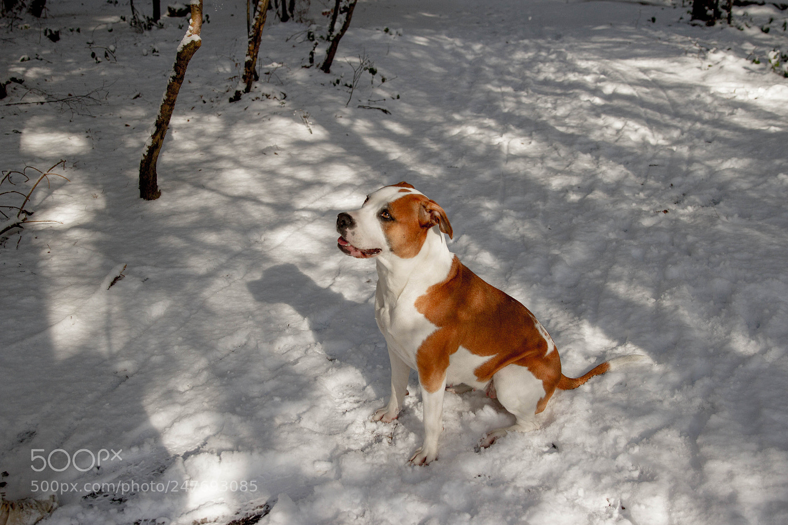 Canon EOS 7D sample photo. Untitled photography