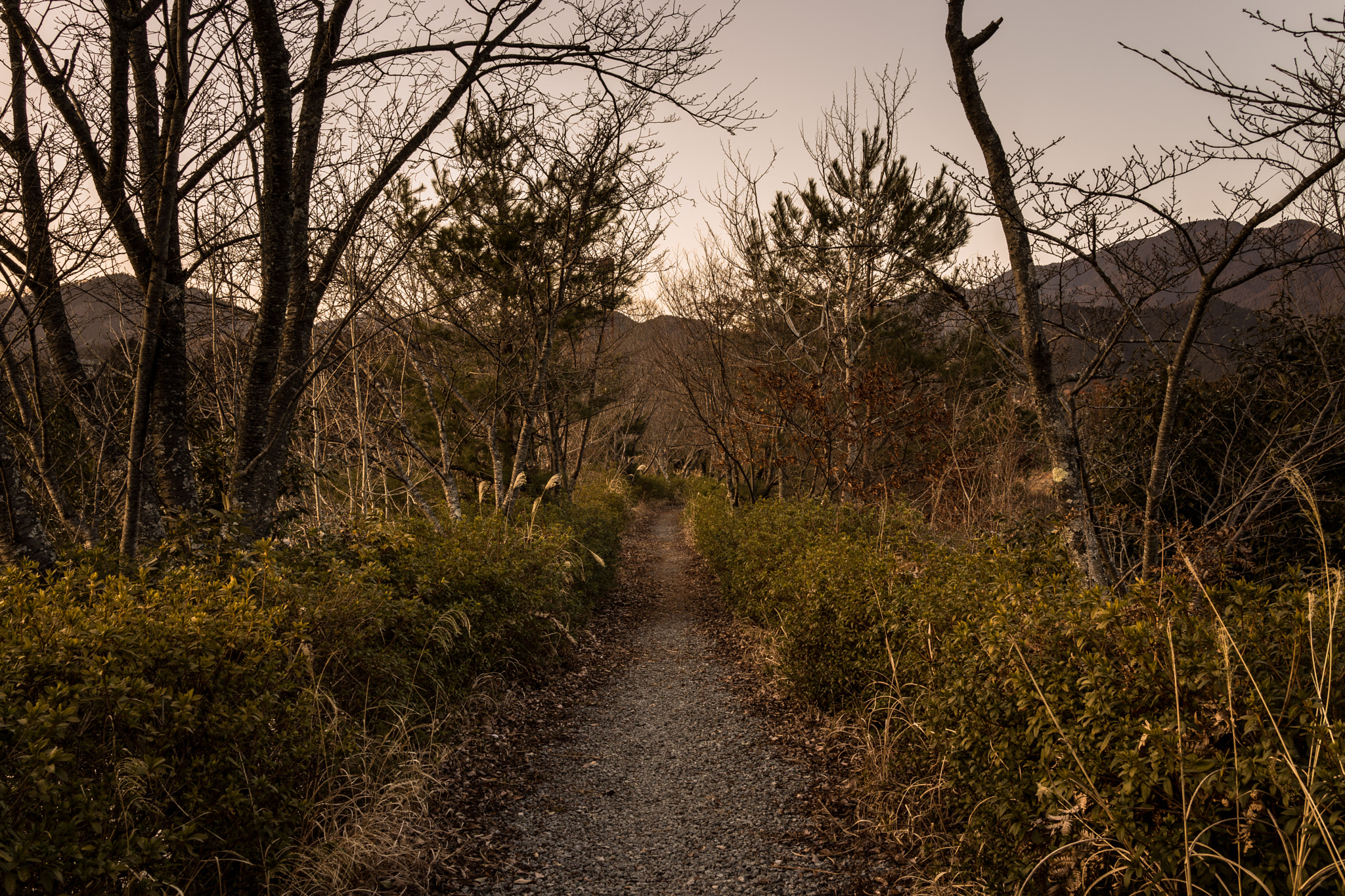 Sony Cyber-shot DSC-RX1R sample photo. Before the sun goes down photography