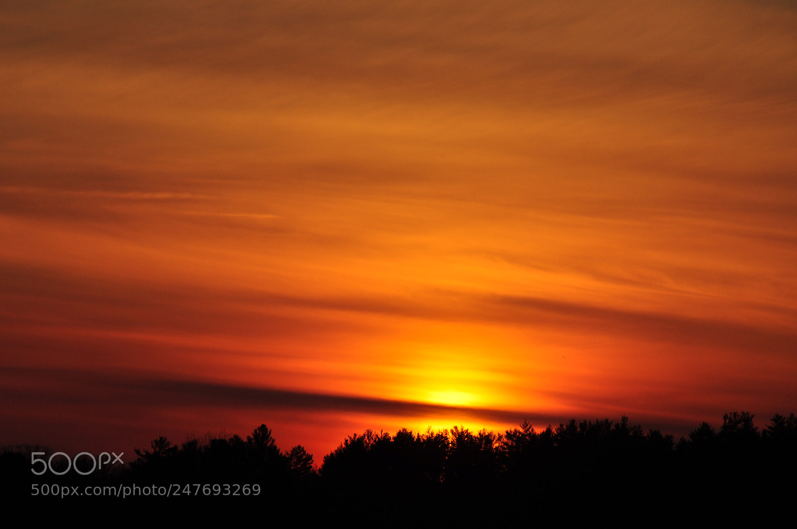 Nikon D5000 sample photo. Sun mellow photography