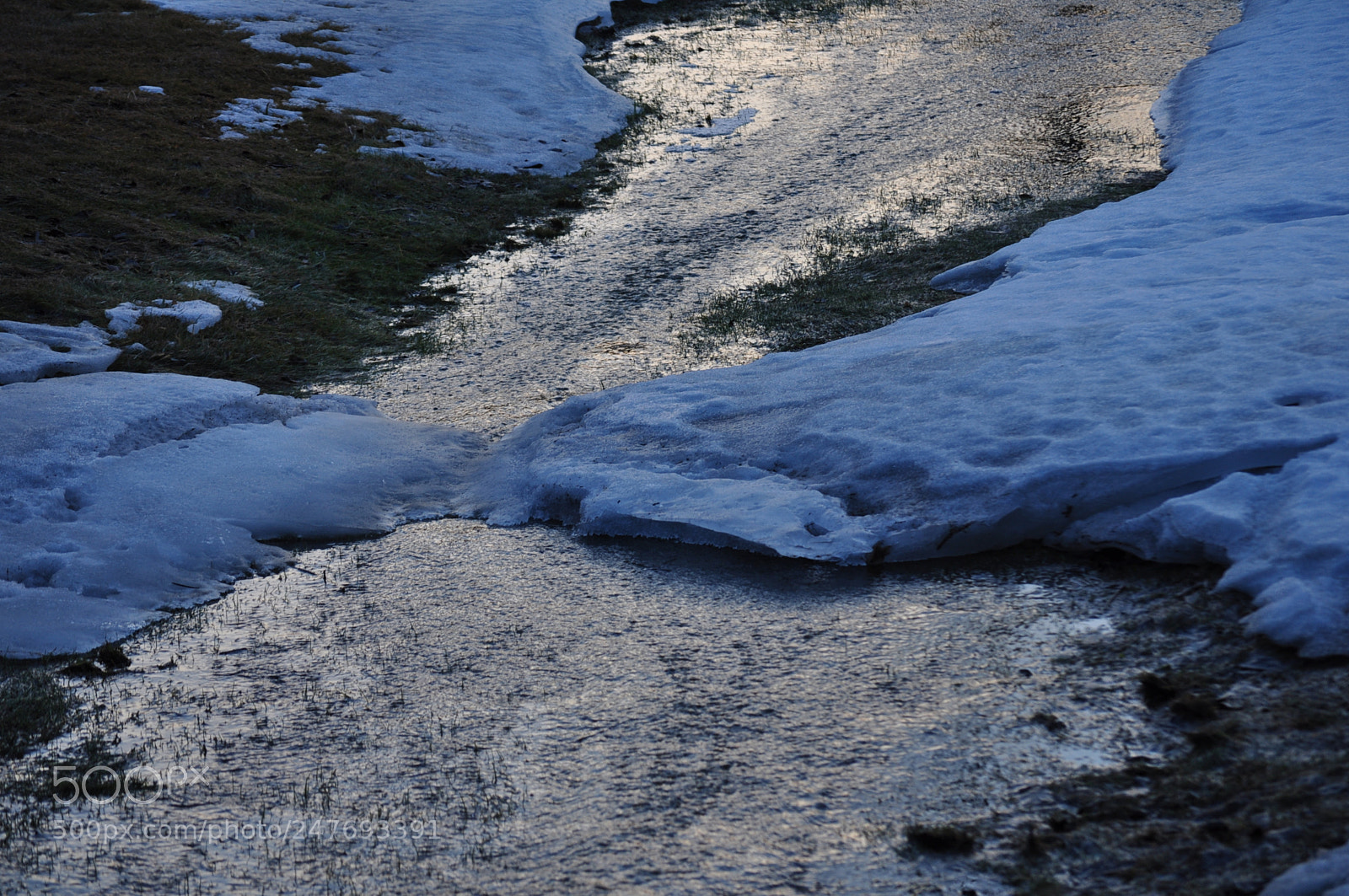 Nikon D5000 sample photo. Kool running photography