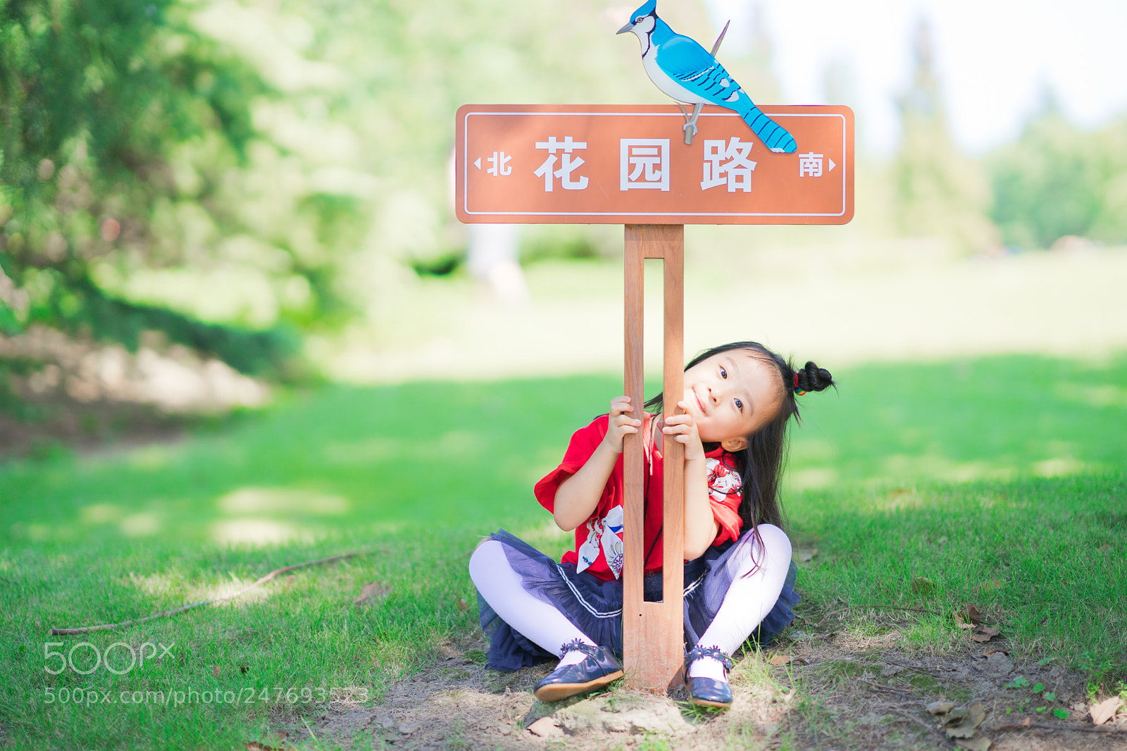 Sony a9 sample photo. 共青森林公园游玩 photography