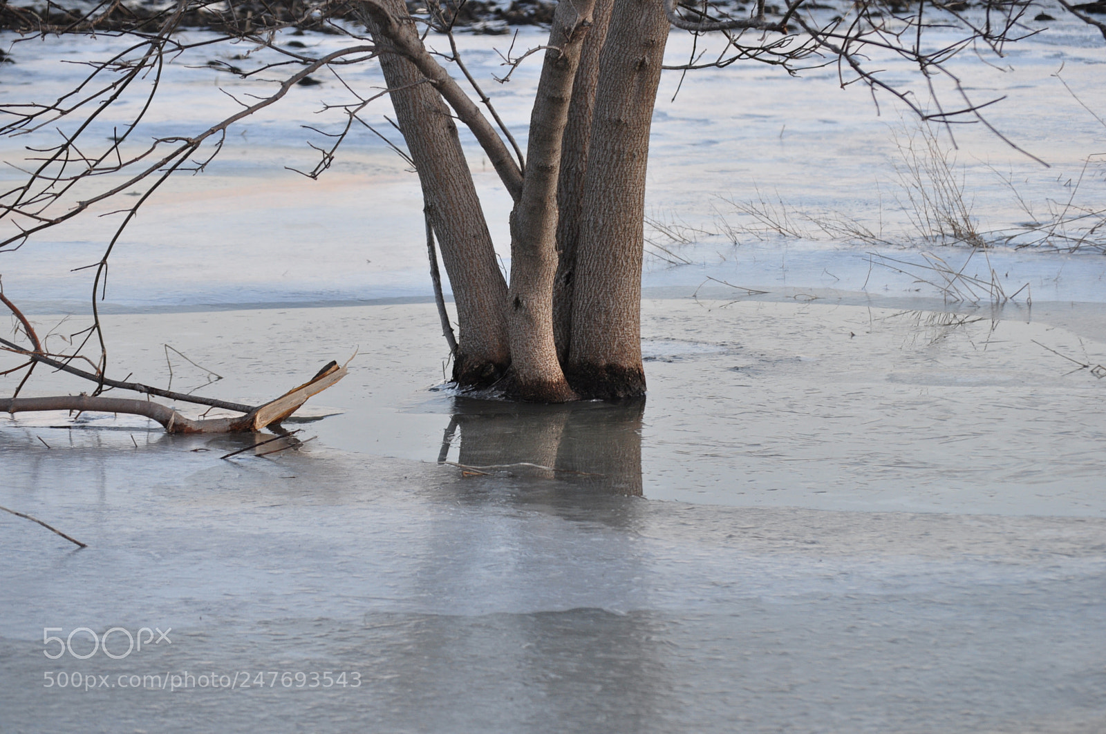 Nikon D5000 sample photo. Water, water everywhere photography