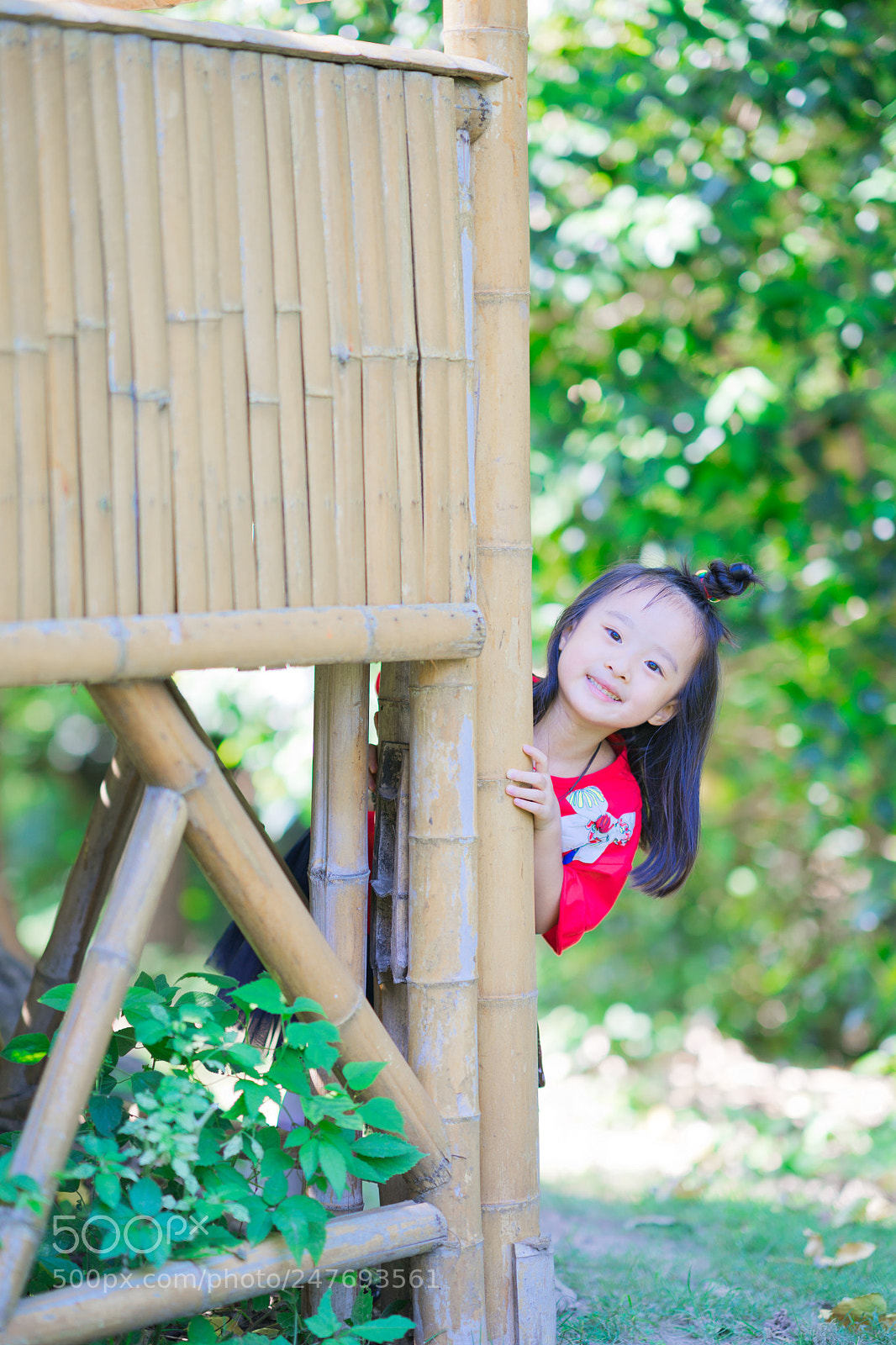 Sony a9 sample photo. 共青森林公园游玩 photography