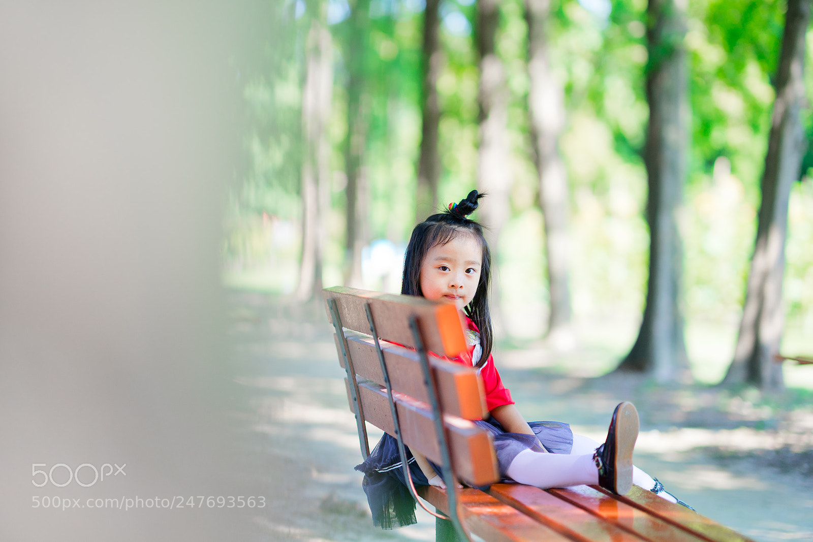 Sony a9 sample photo. 共青森林公园游玩 photography