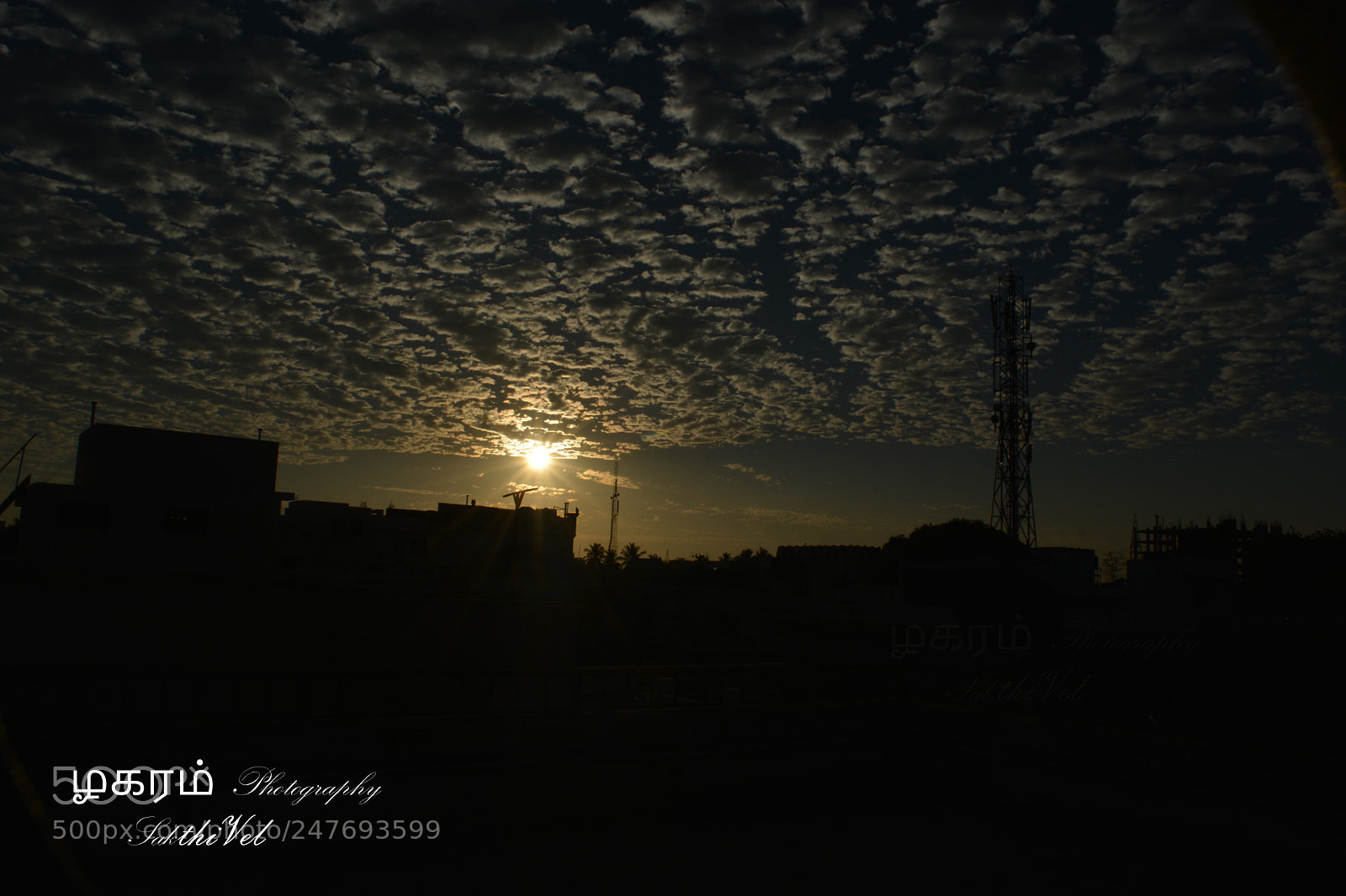 Nikon D5200 sample photo. Nature photography