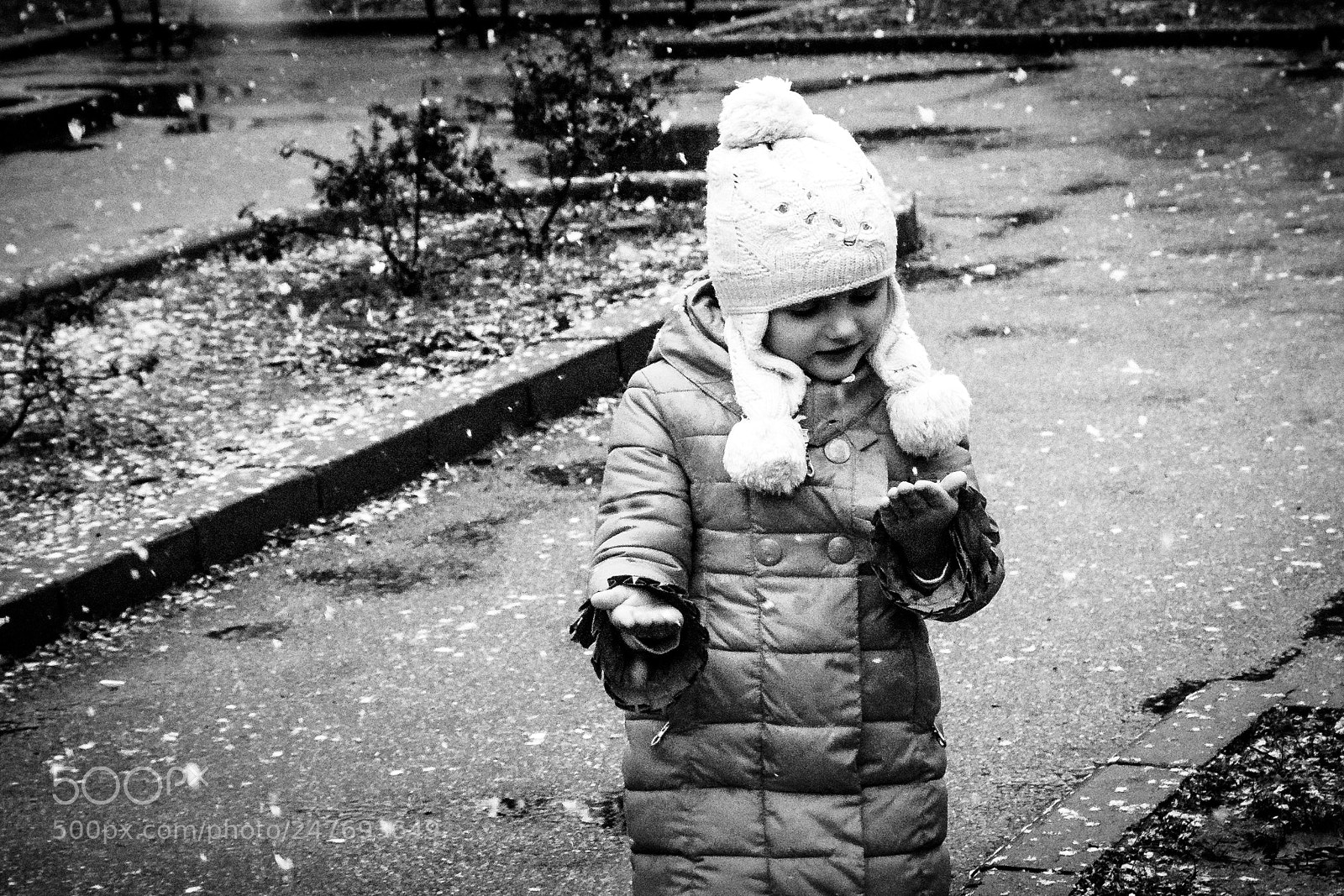 Nikon D5100 sample photo. Snowflake photography