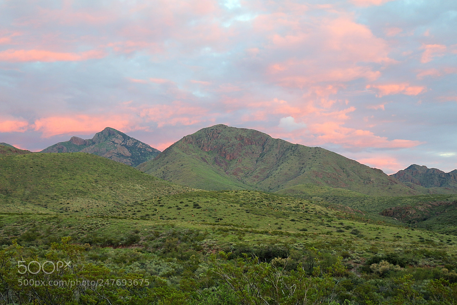 Canon EOS 700D (EOS Rebel T5i / EOS Kiss X7i) sample photo. Verdant desert hills photography