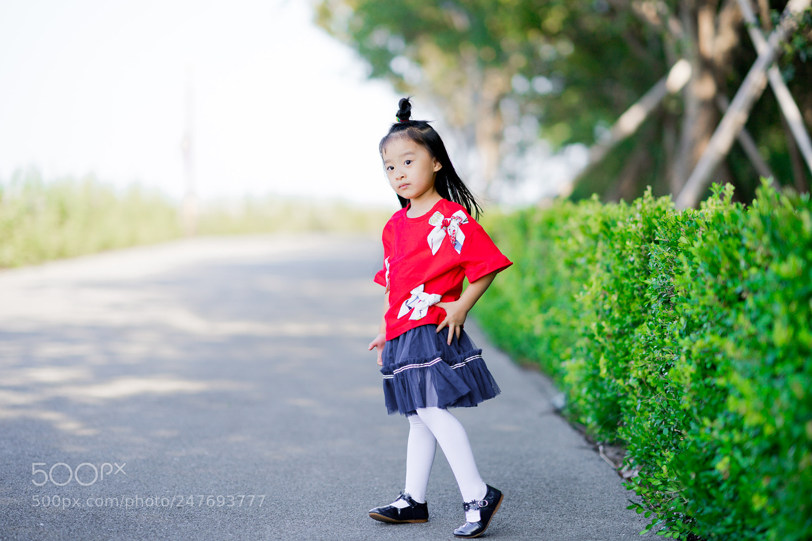 Sony a9 sample photo. 共青森林公园游玩 photography
