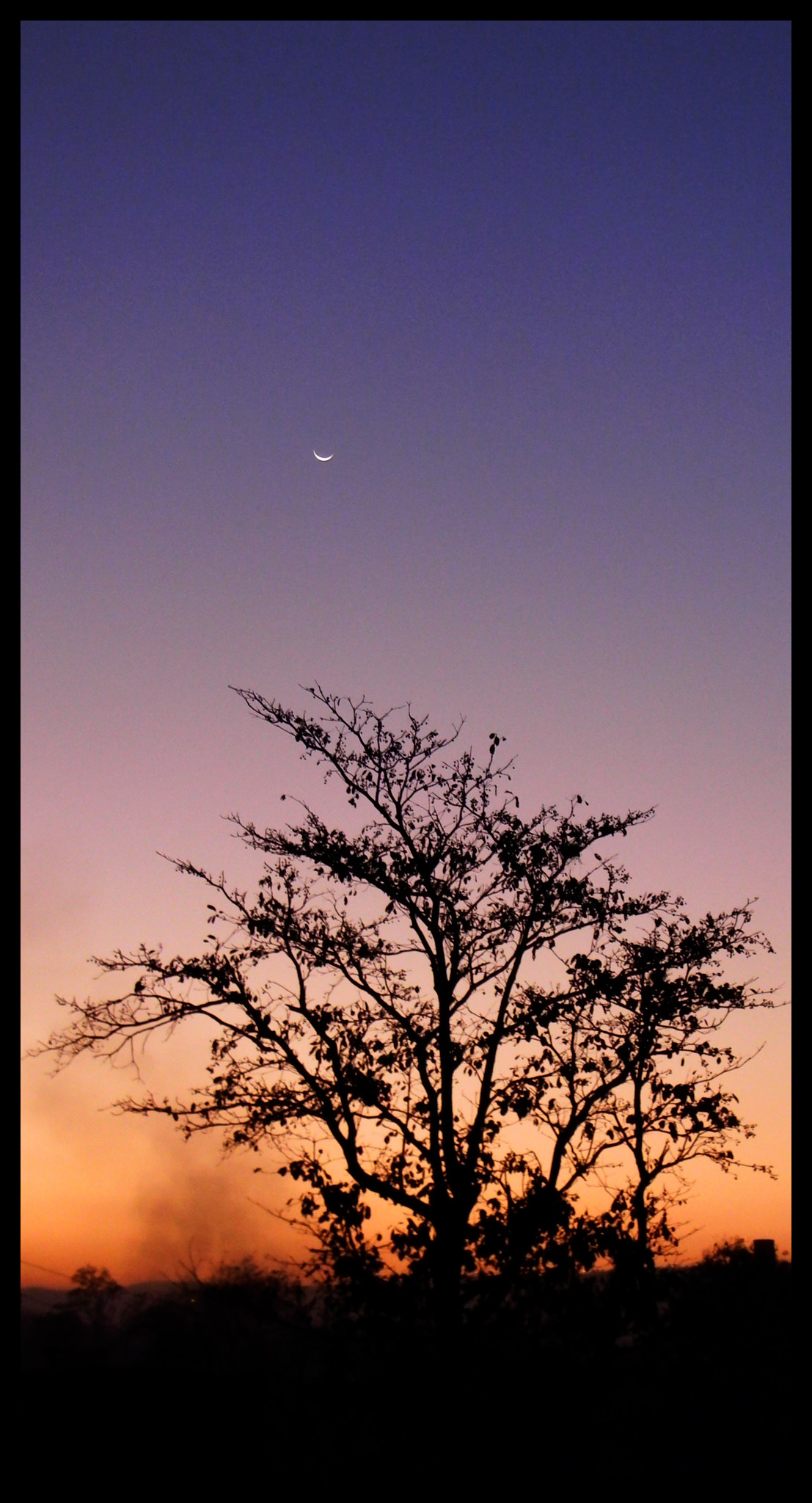 Nikon Coolpix L110 sample photo. Evening sky photography