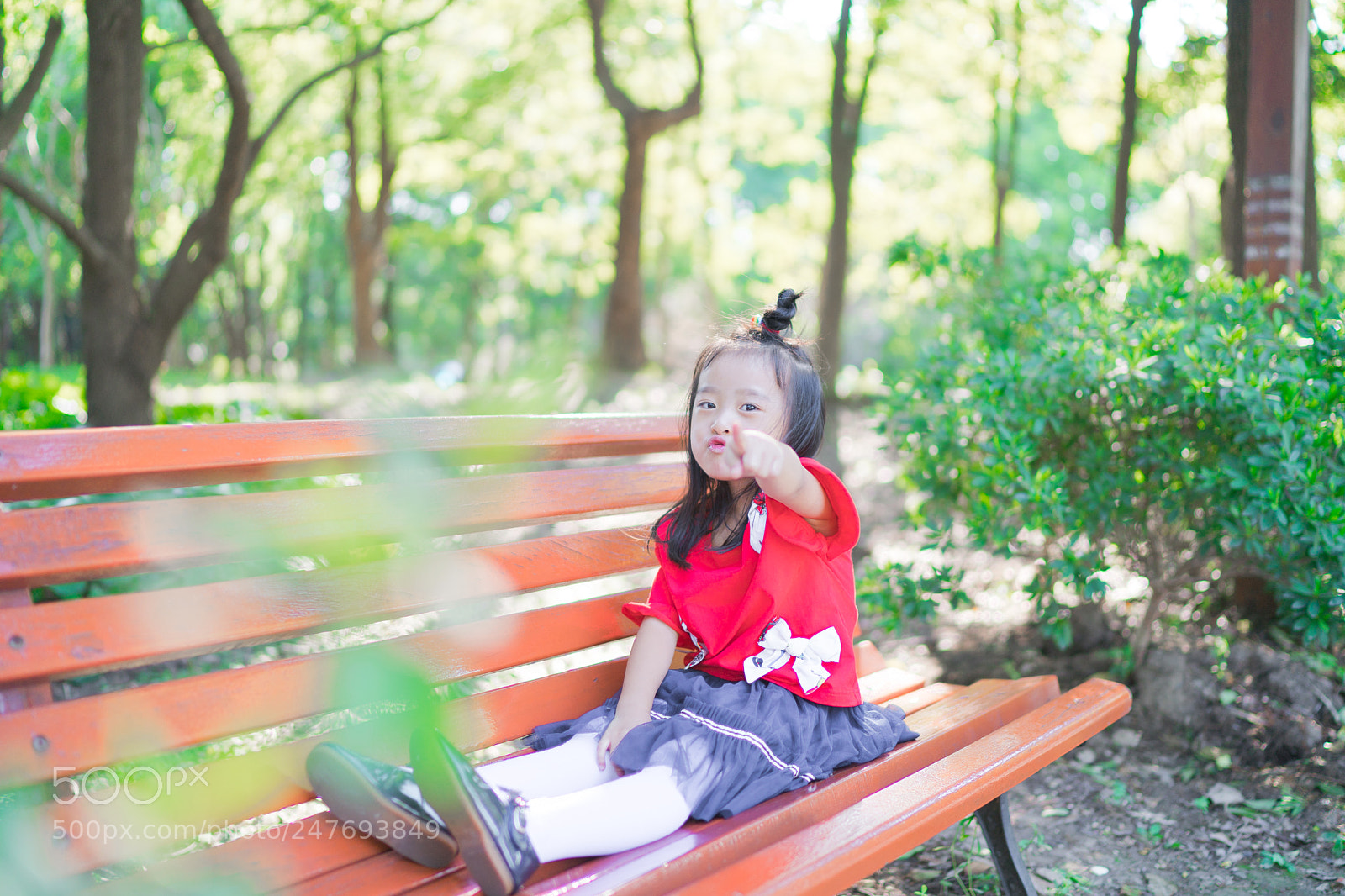Sony a9 sample photo. 共青森林公园游玩 photography