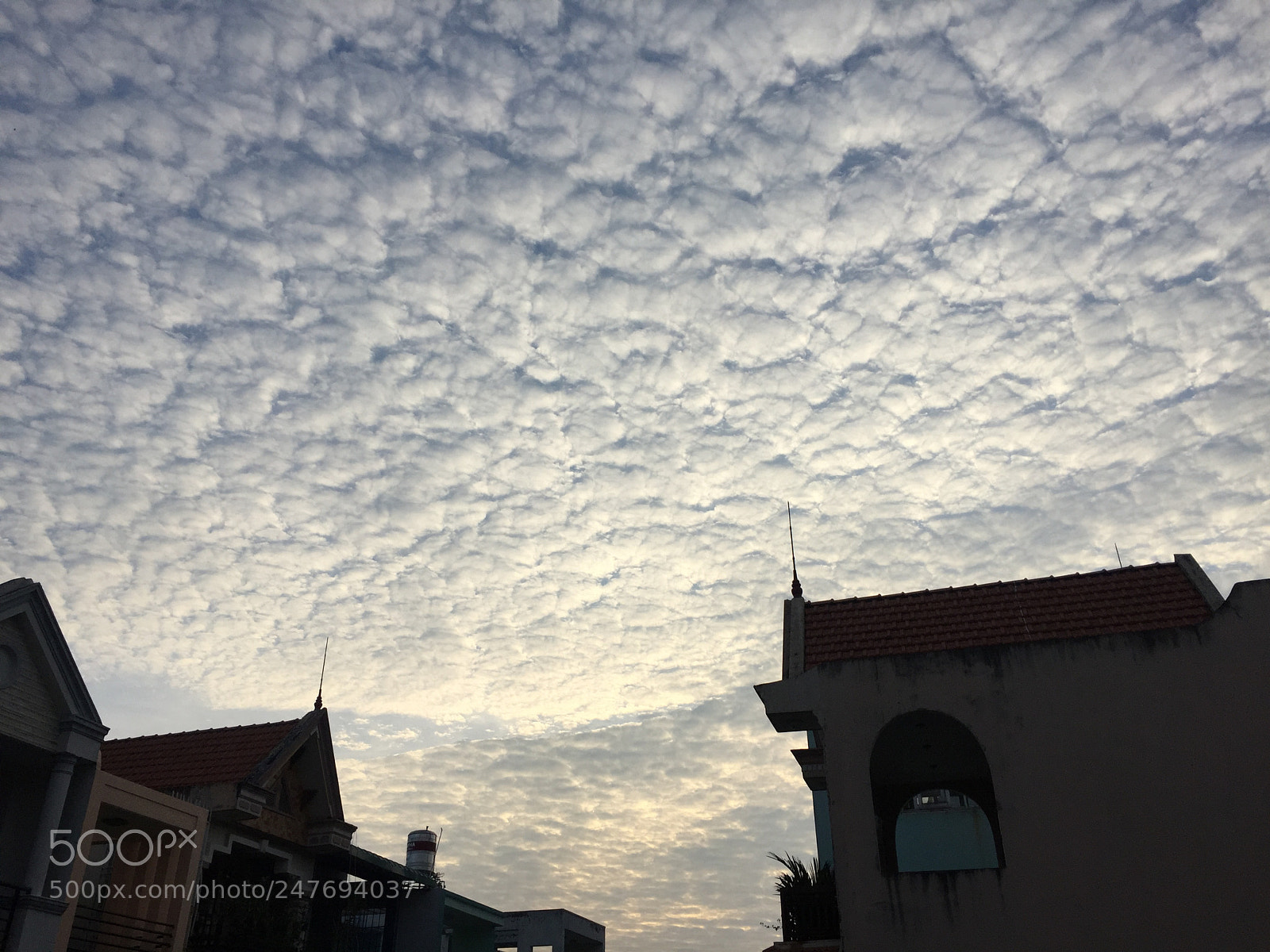 Apple iPhone 6 sample photo. Beautiful day photography
