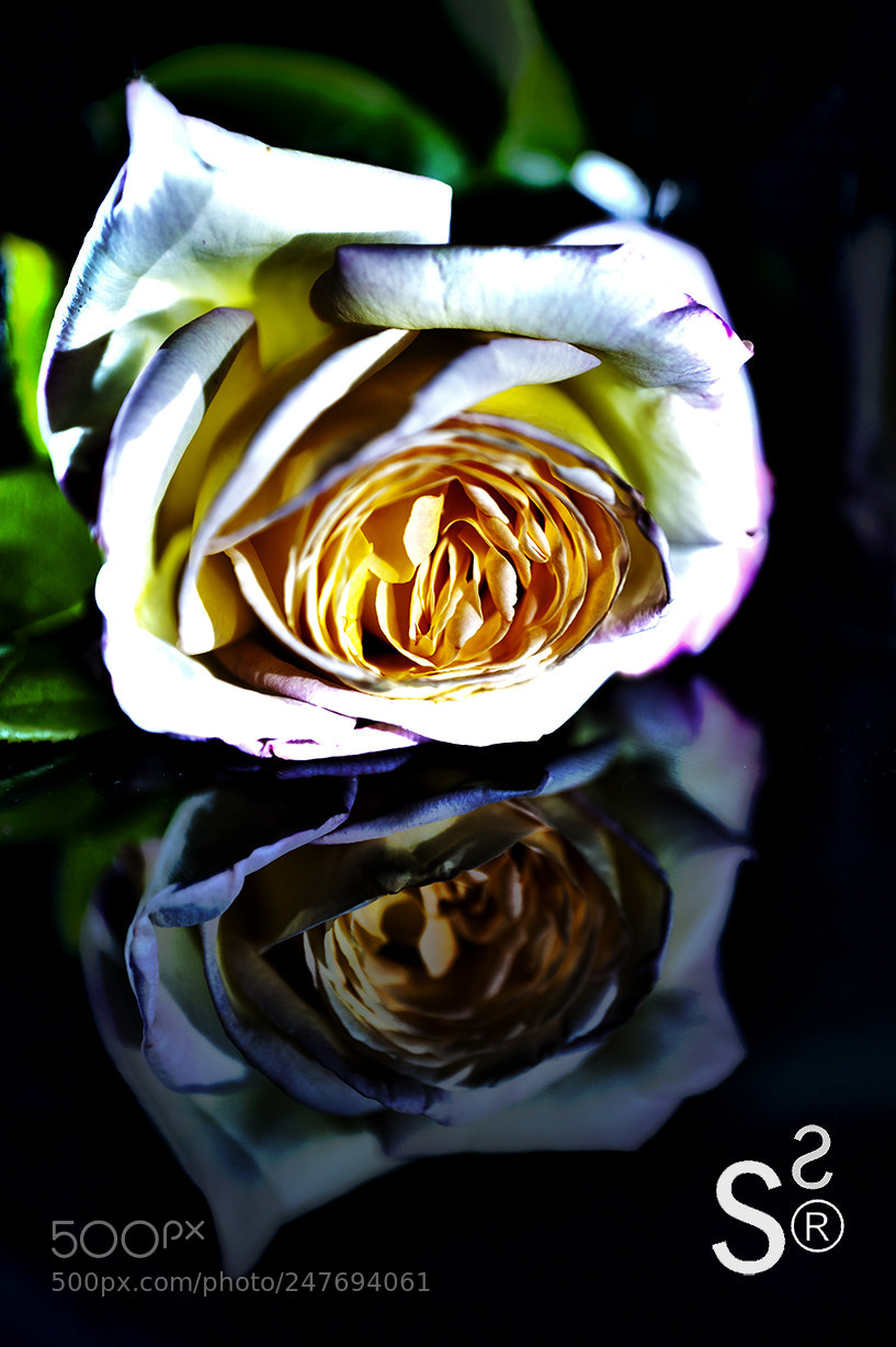 Nikon D700 sample photo. Re 3 photography