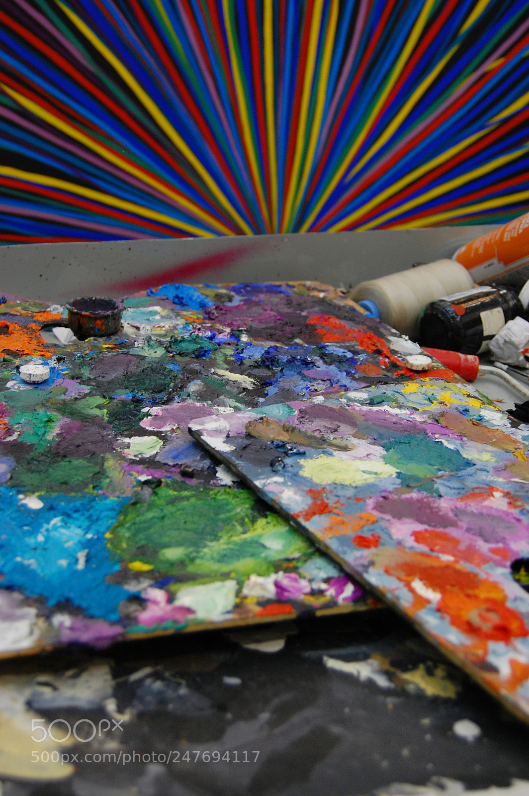 Nikon D40 sample photo. I bring you brightness photography