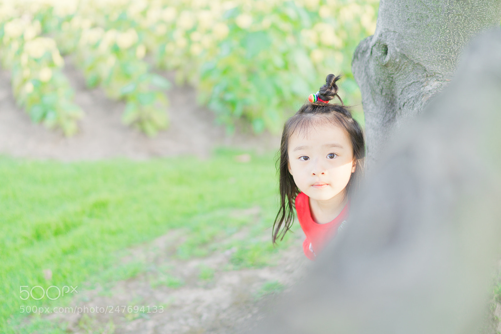 Sony a9 sample photo. 共青森林公园游玩 photography