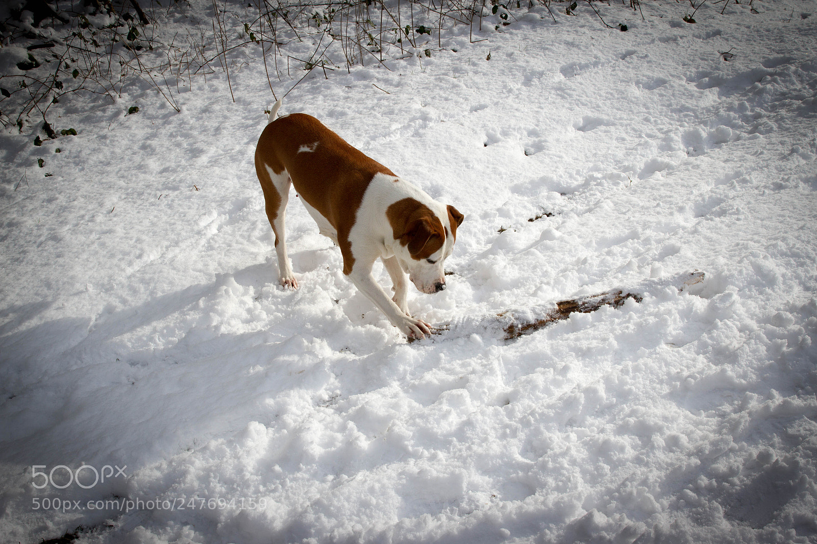 Canon EOS 7D sample photo. Untitled photography