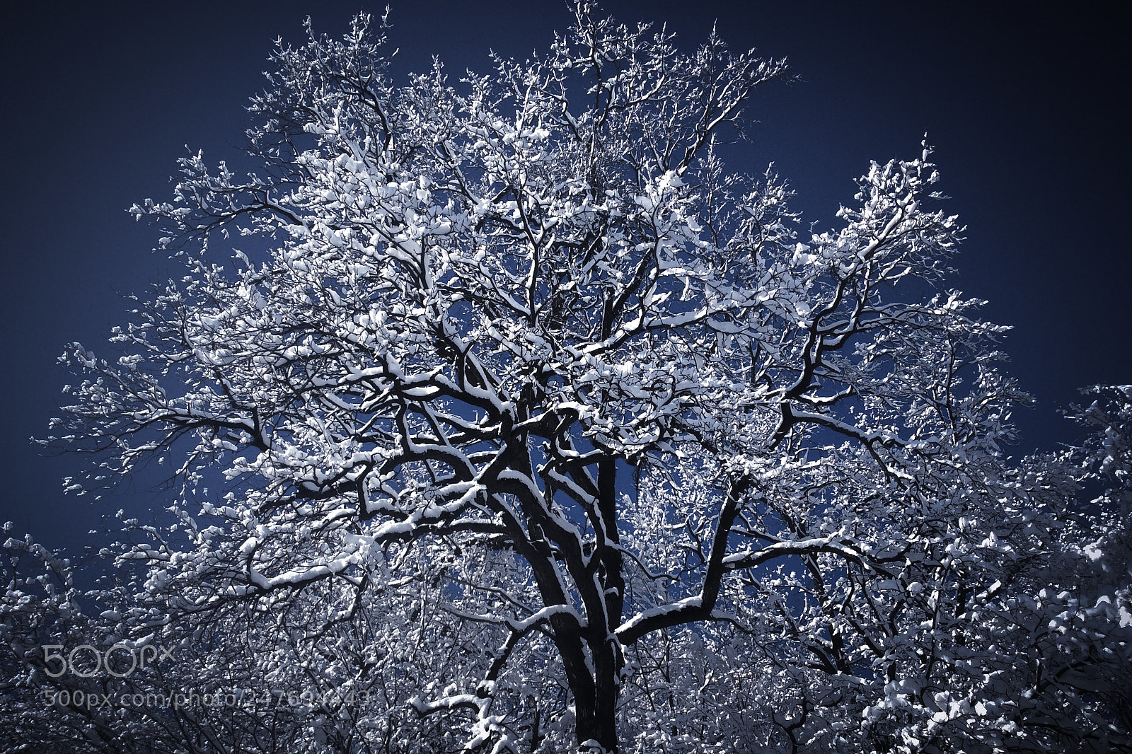 Apple iPad Air sample photo. Farewell winter. photography