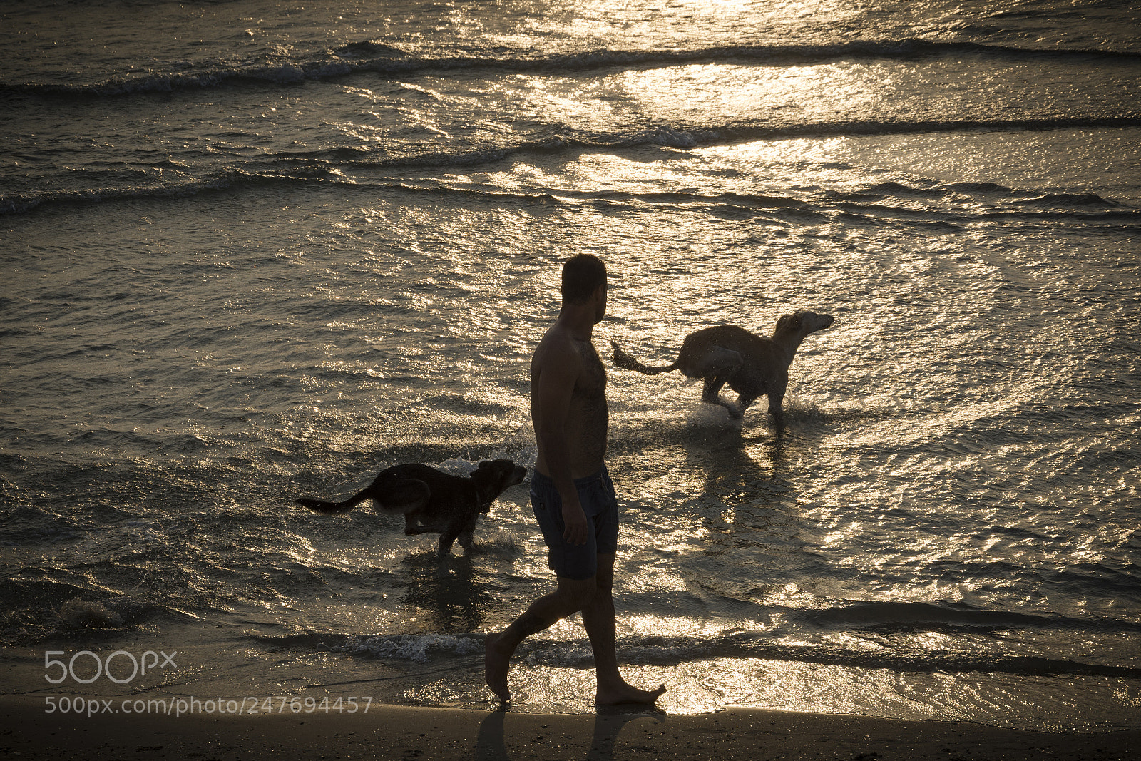 Nikon D7200 sample photo. A man and two photography